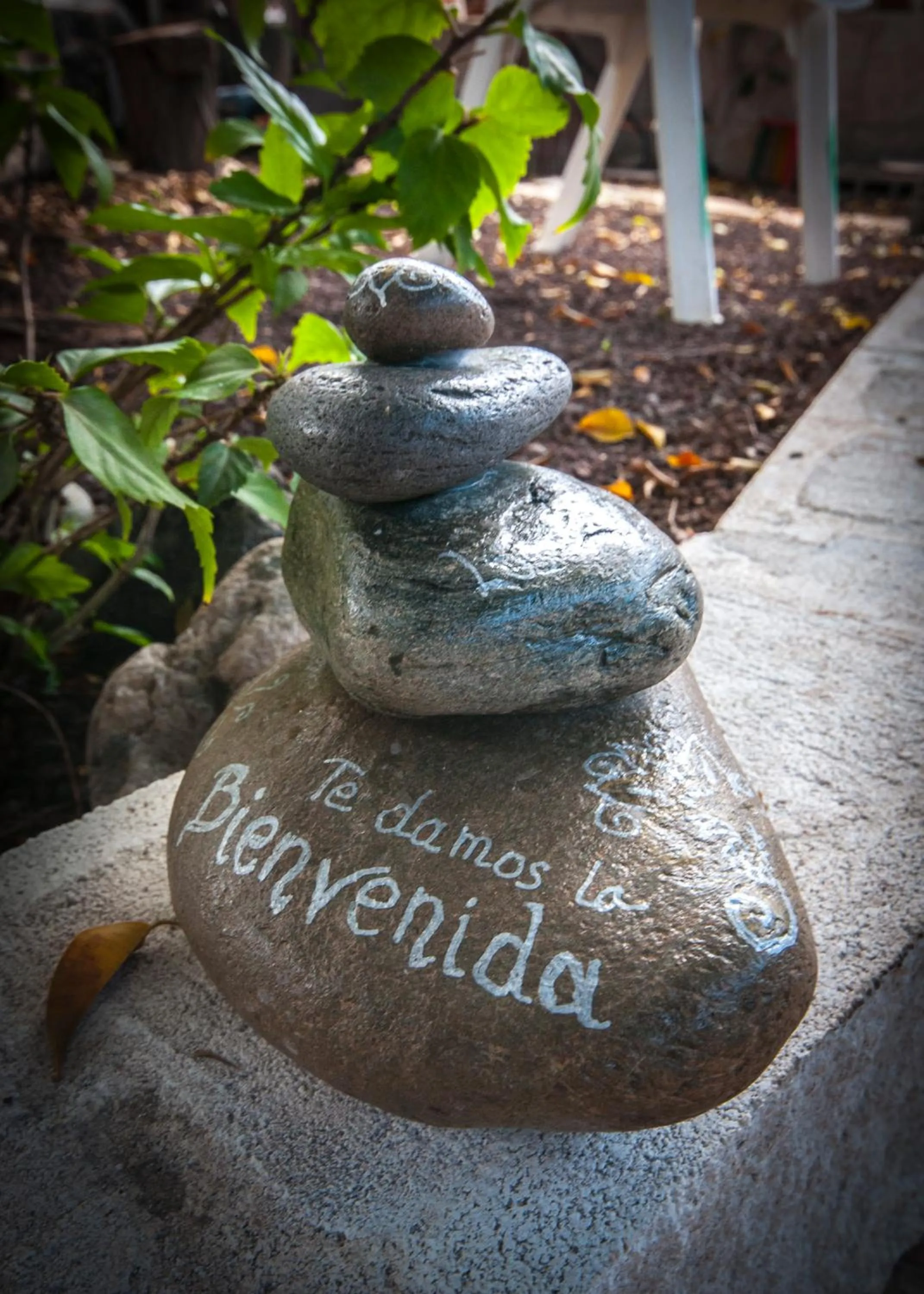 Balcony/Terrace in Hostel Los Duendes del Sur