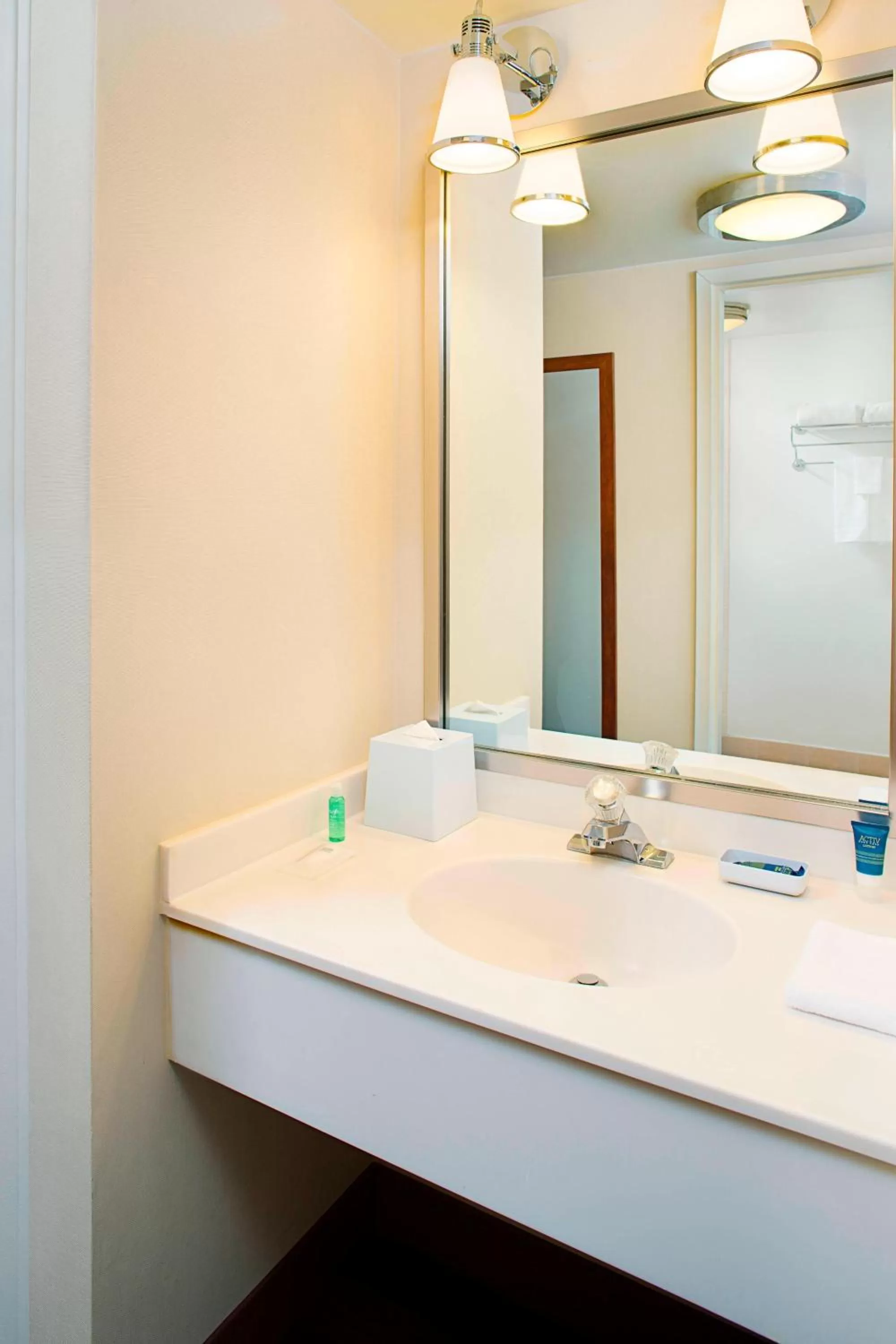 King Room with Adapted Tub - Mobility Accessible in Four Points by Sheraton Philadelphia Airport