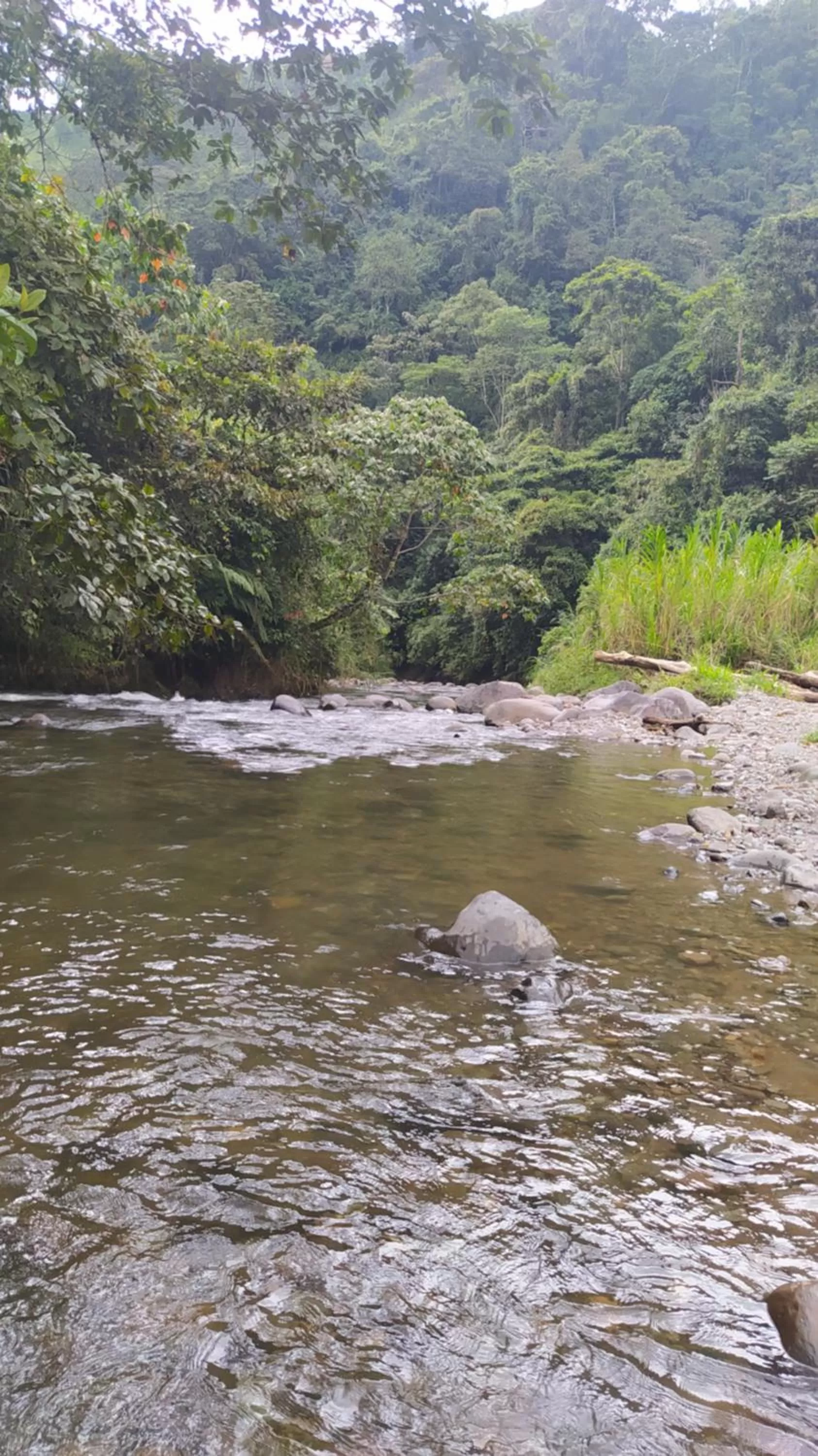 Villa Cristina - Casa Boutique