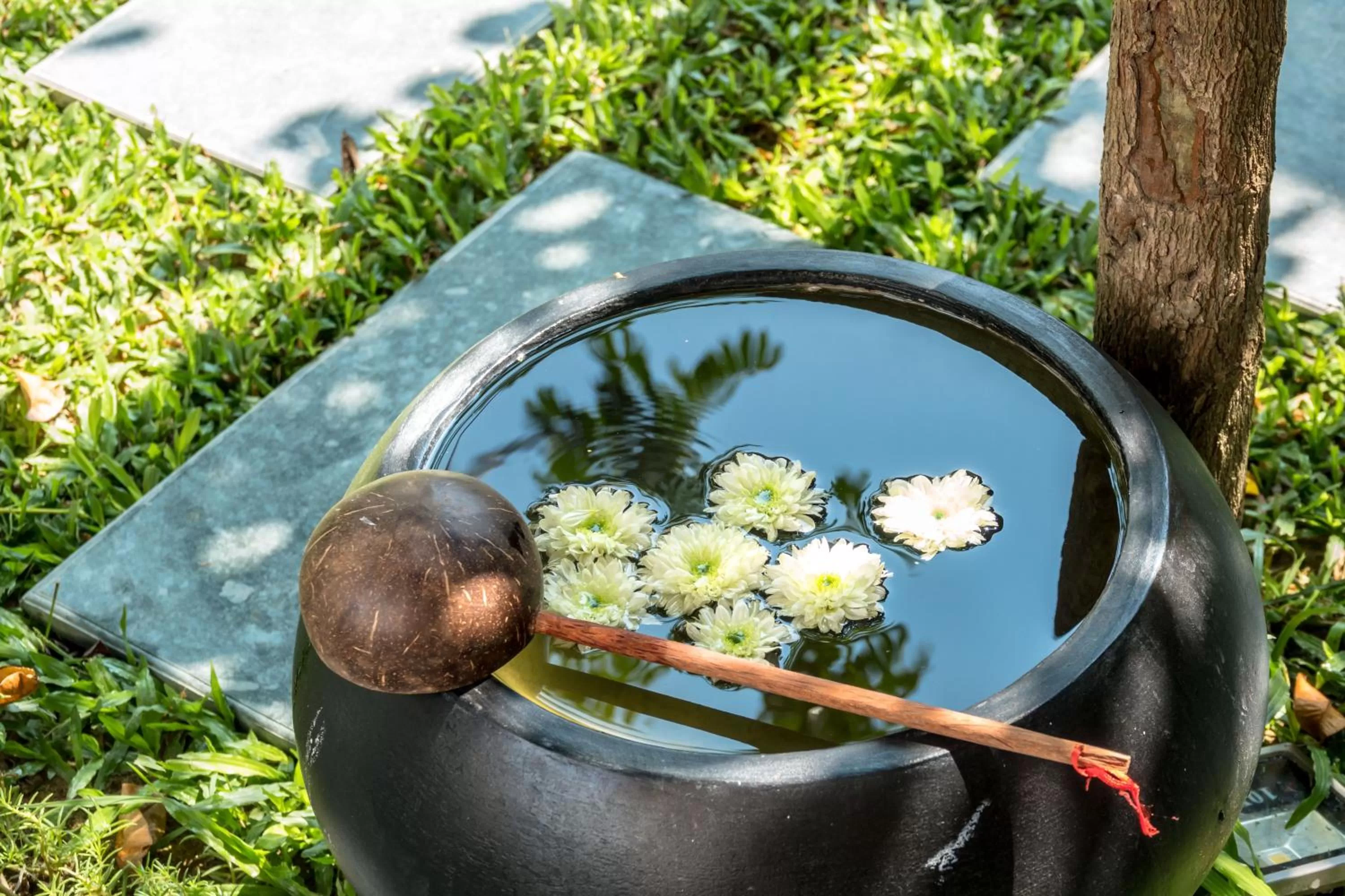 Garden in Hoian Central Hotel