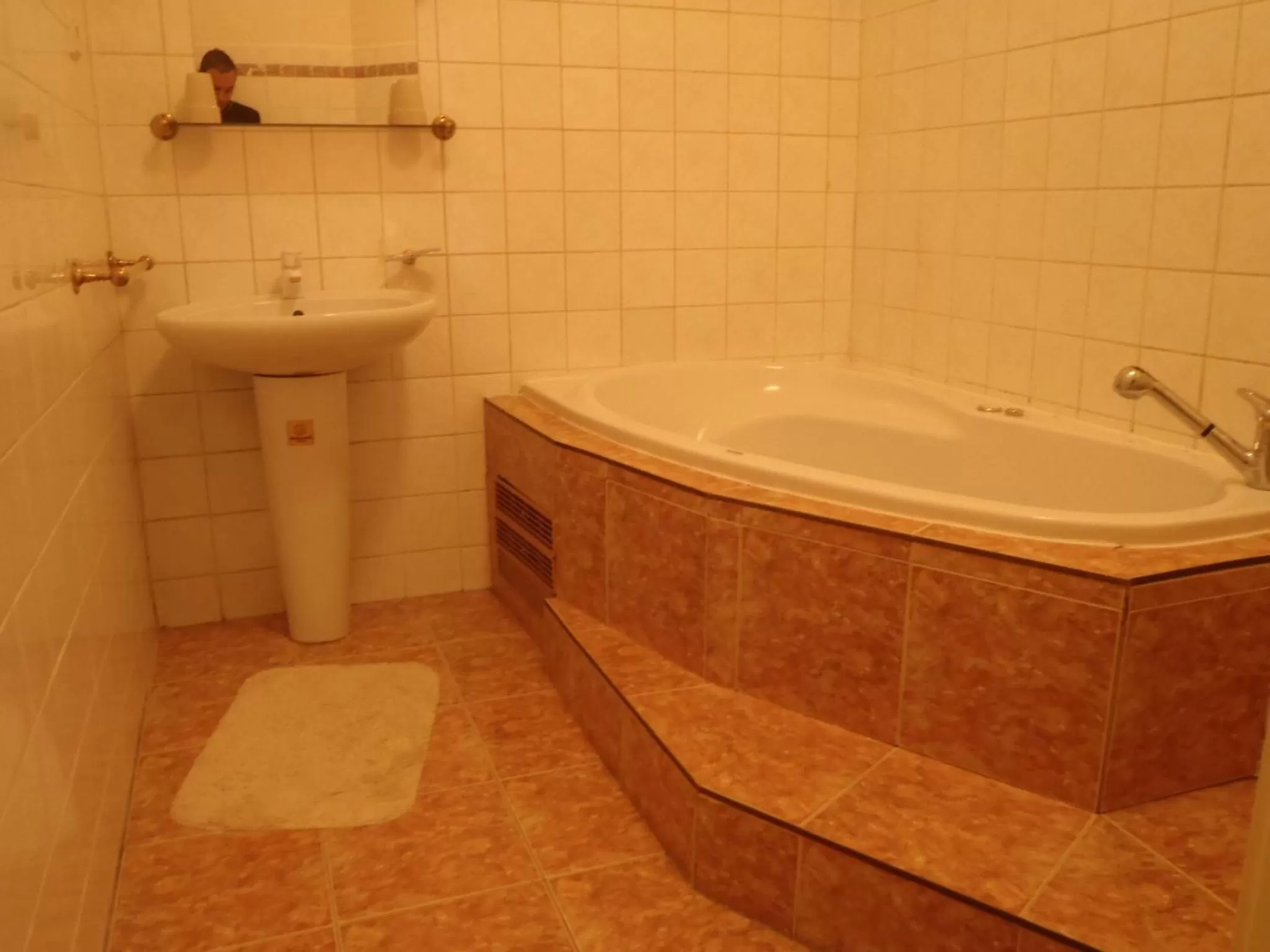 Bathroom in Hotel Green House