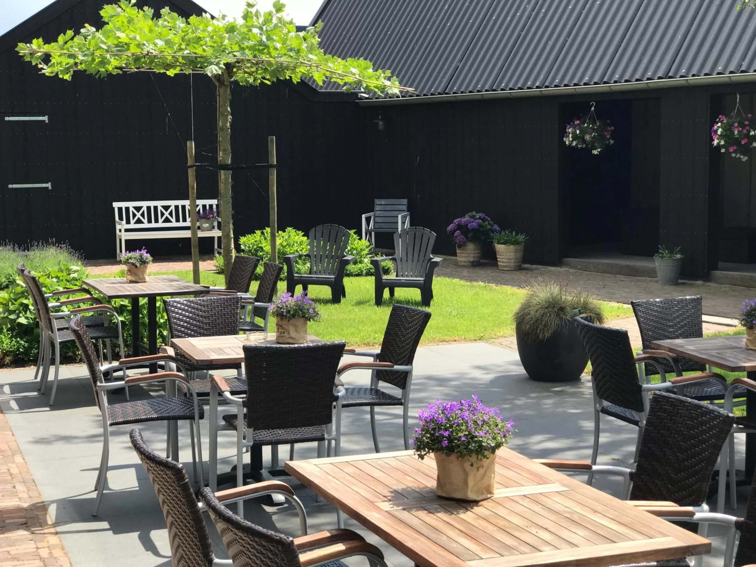 Garden in Hotel Lemmer