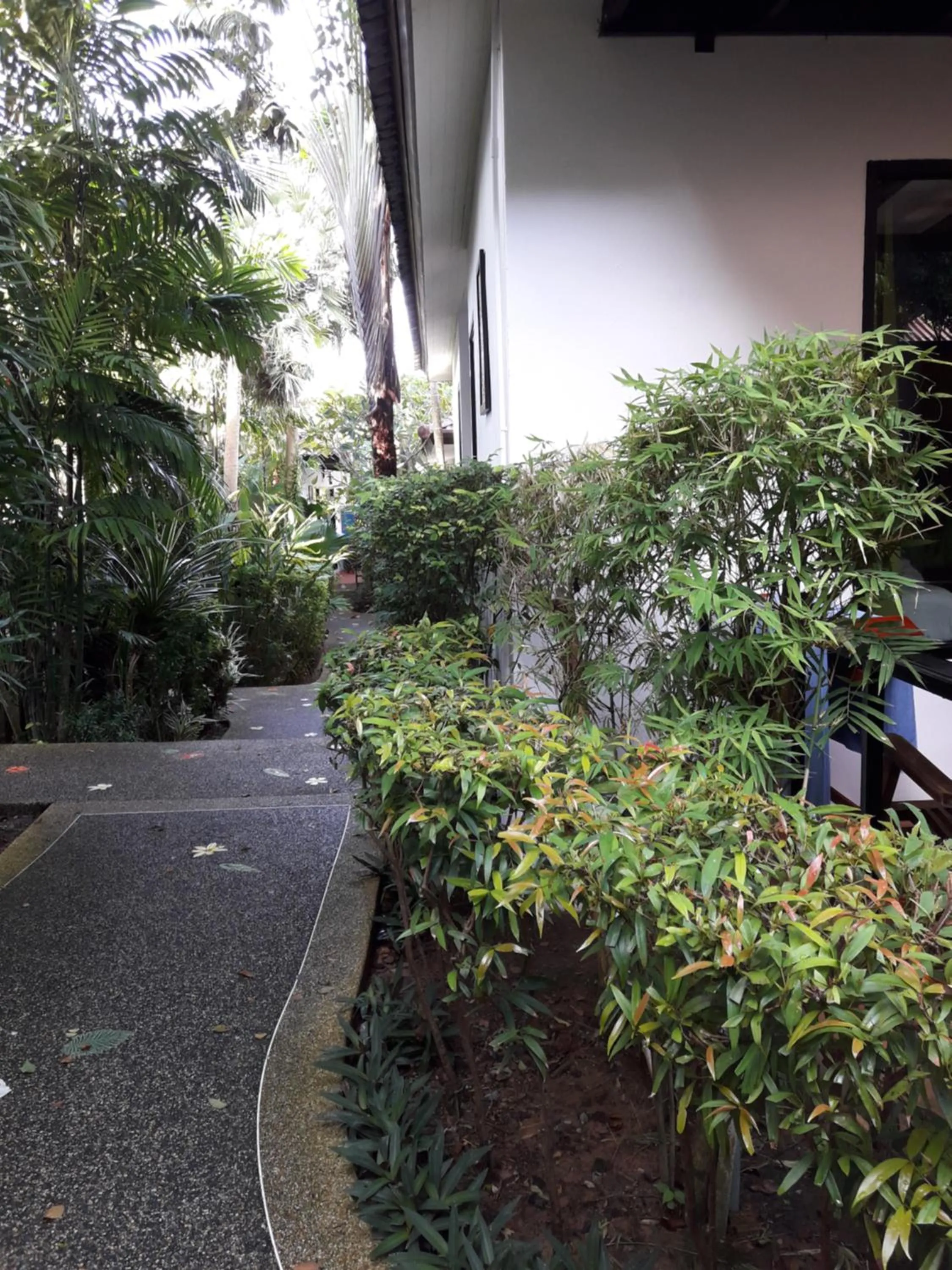 Other in Cocoville Phuket - SHA Plus