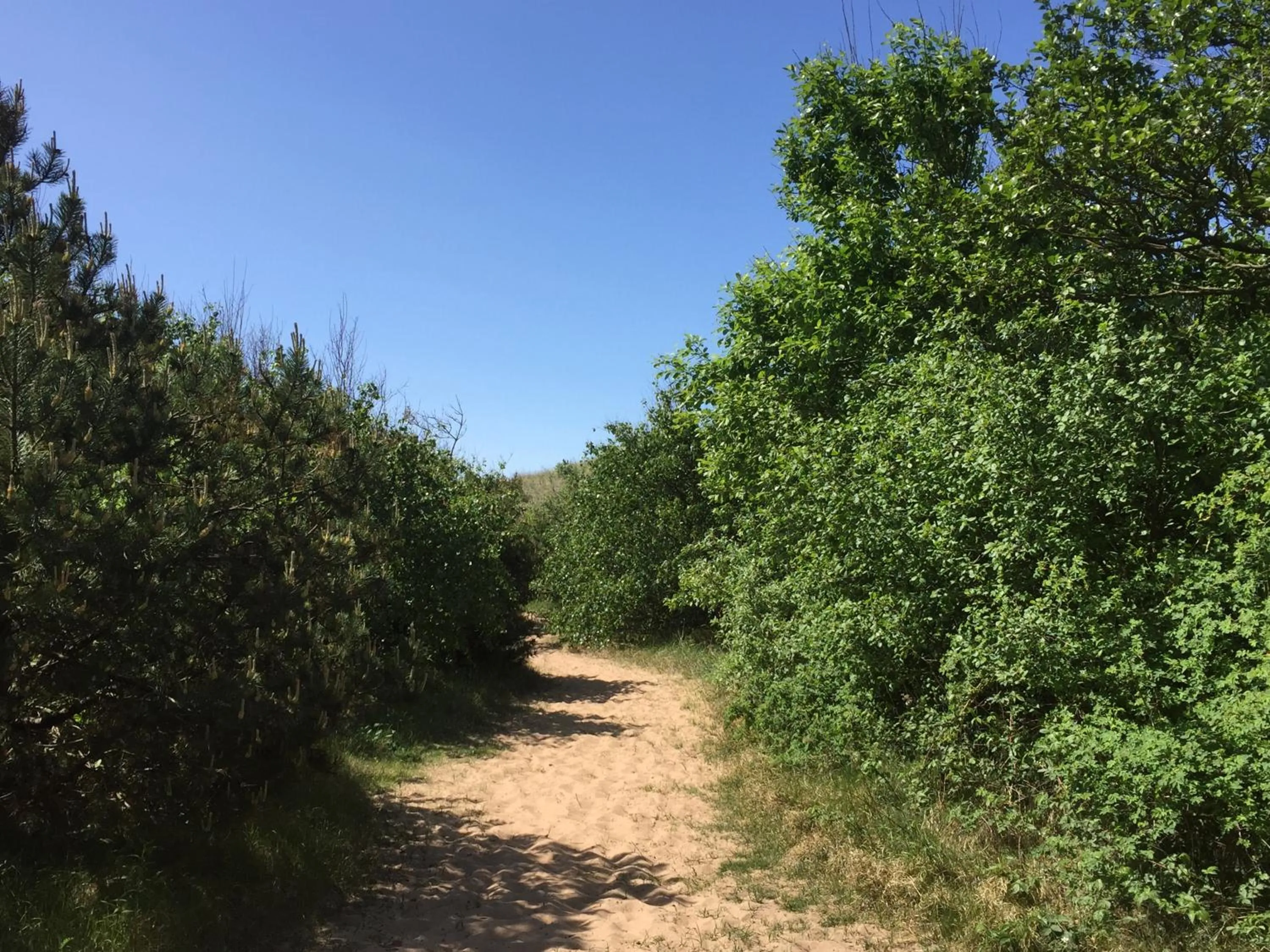 Off site in Tylebäck Hotell & Konferens, BW Signature Collection