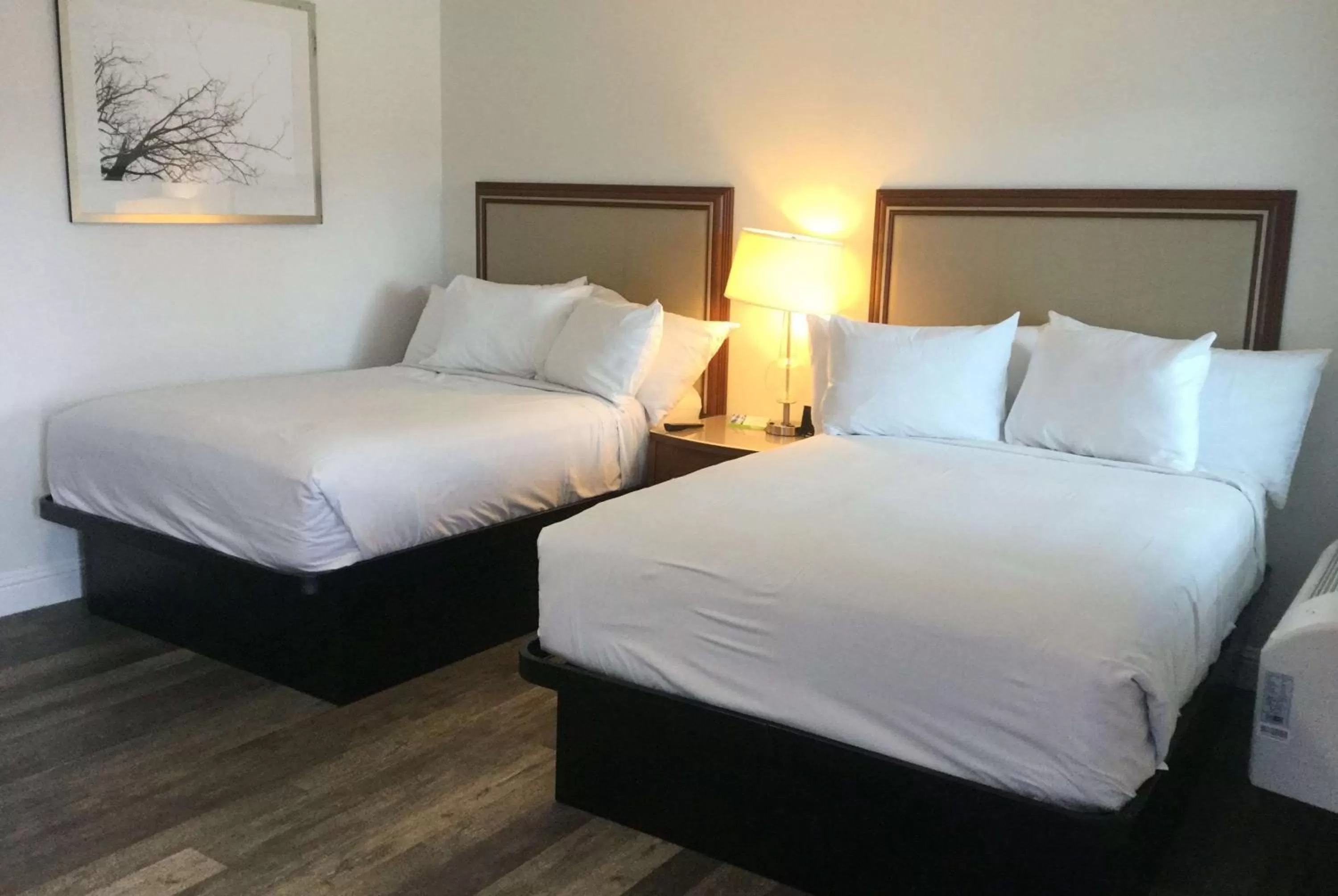 Photo of the whole room in Travelodge by Wyndham Crescent City