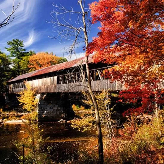 River view in Snowy Owl Inn