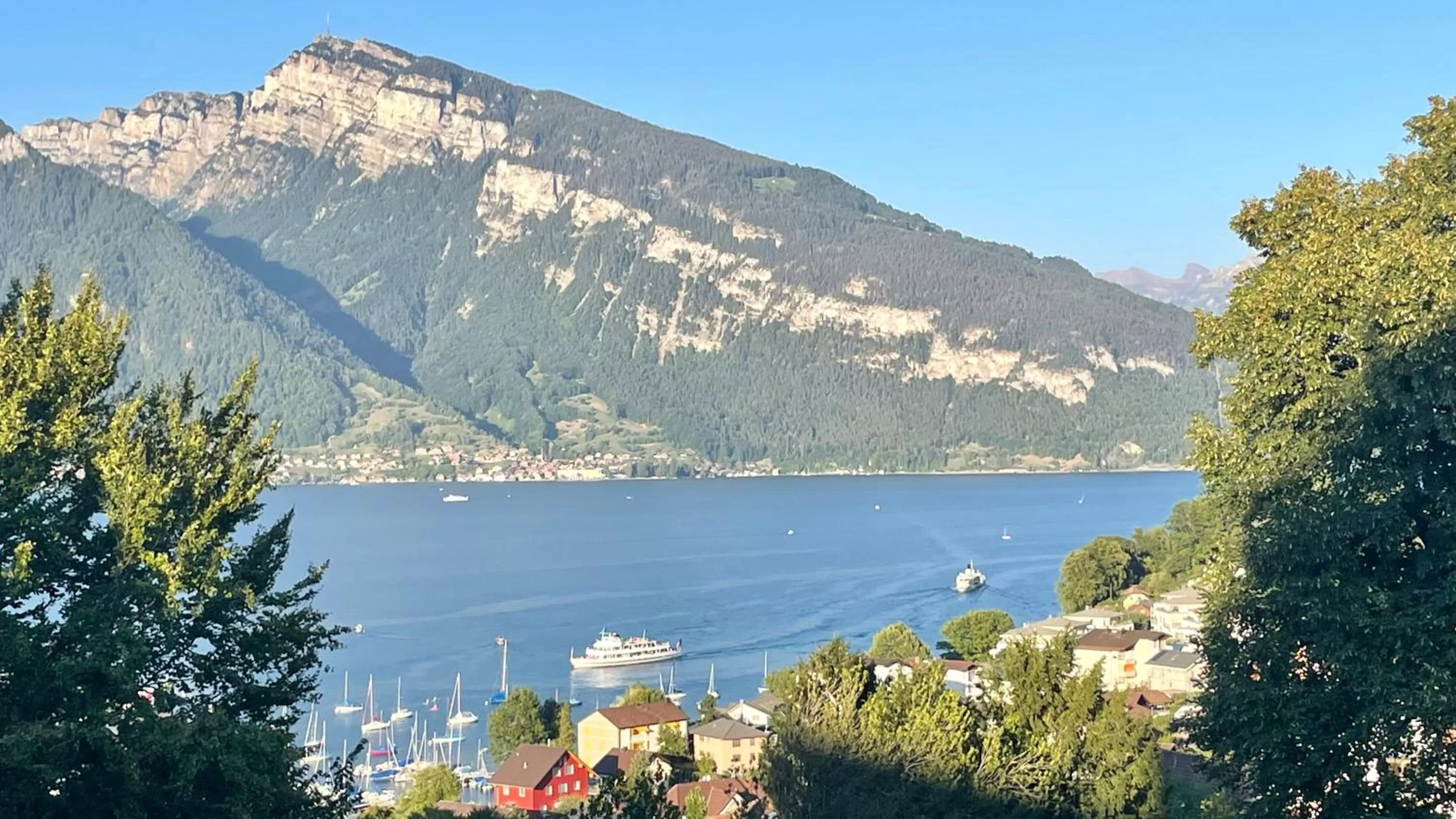 Natural landscape in Hotel Movieworld