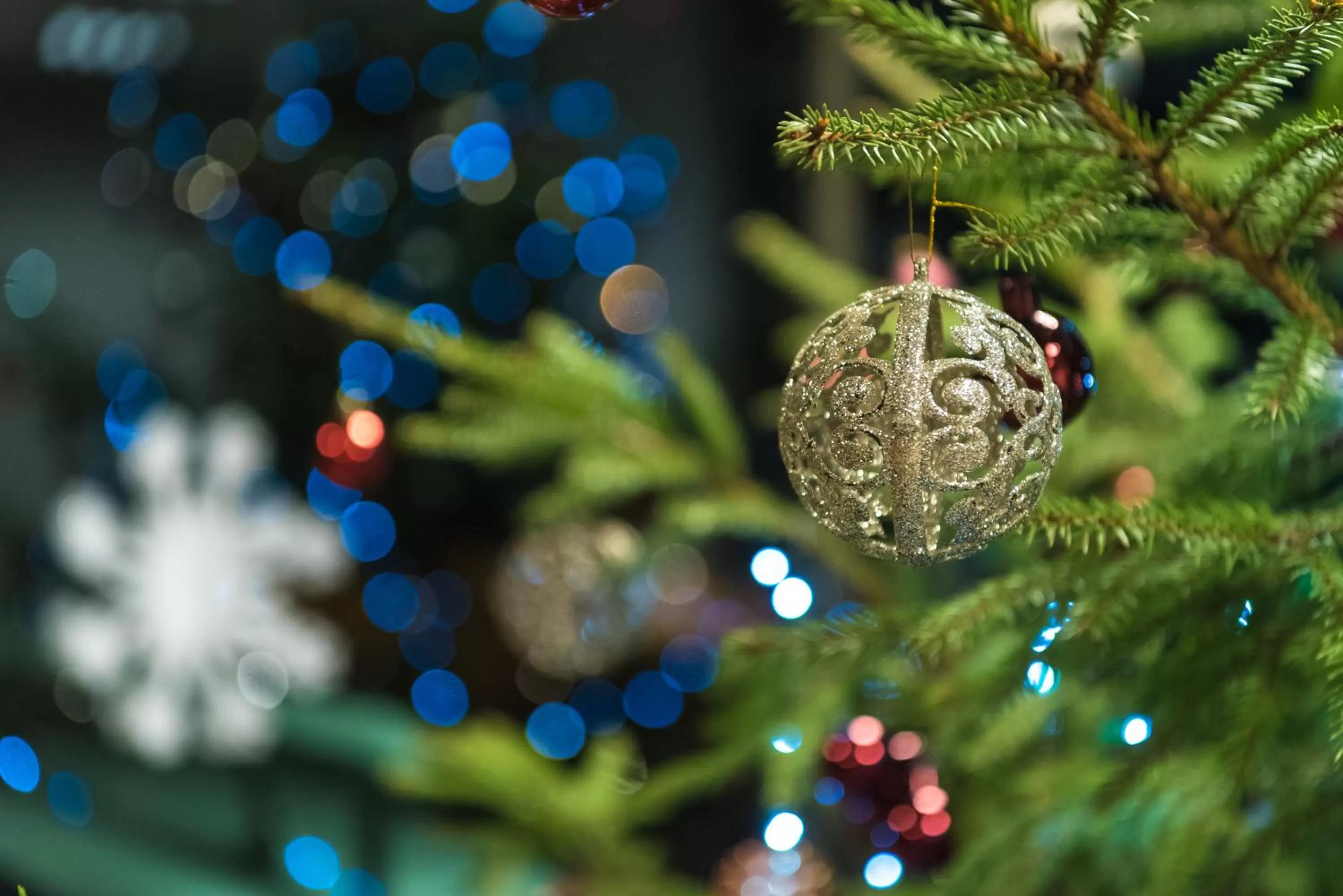 View (from property/room) in Hotel Tigra