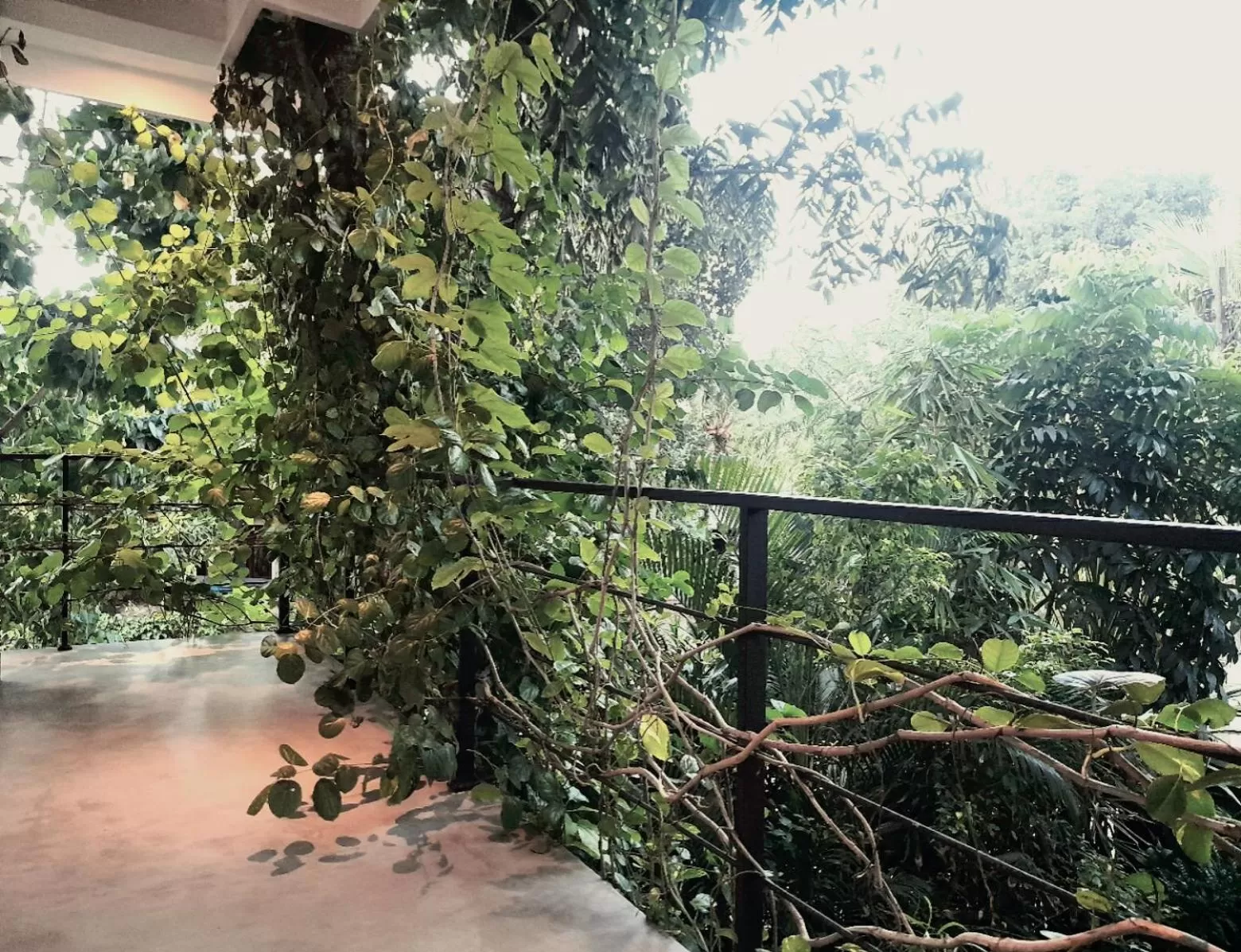 Balcony/Terrace in Weligama Bay Watsila Resort