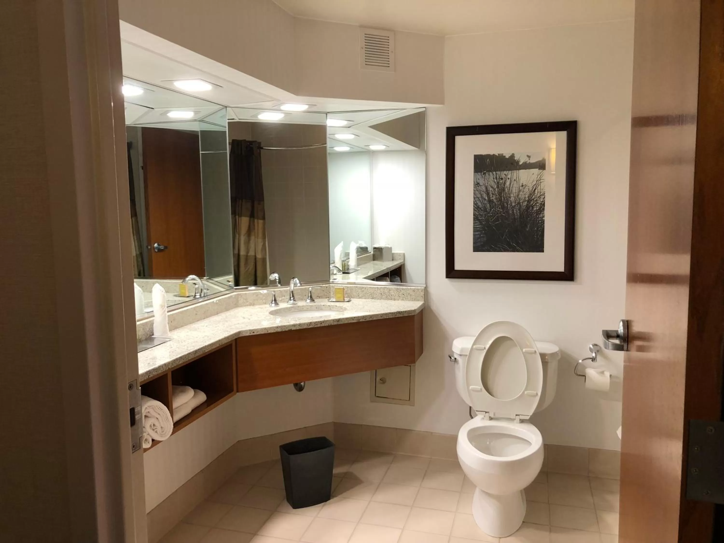 Bathroom in Wyndham Garden Buffalo Downtown