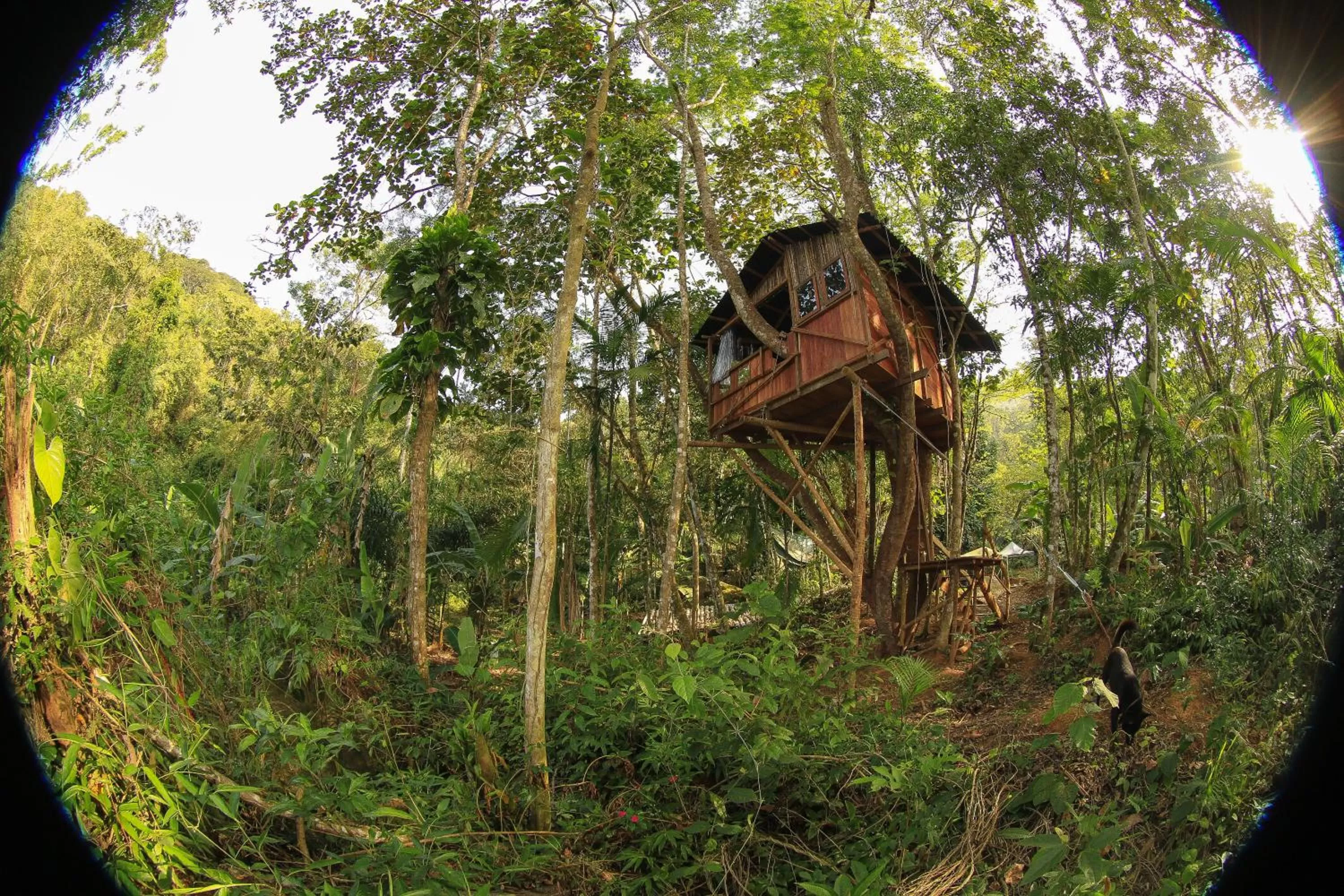 Property Building in Sitio Simple Life