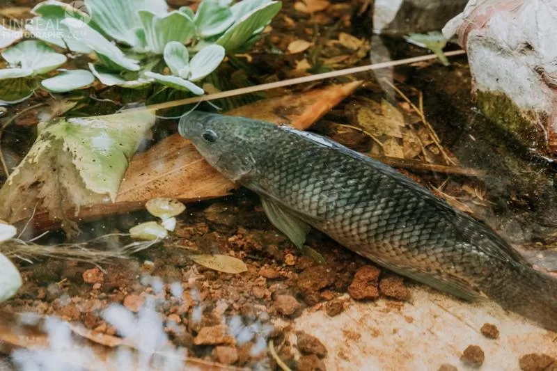 Hotel boutique Teocalli