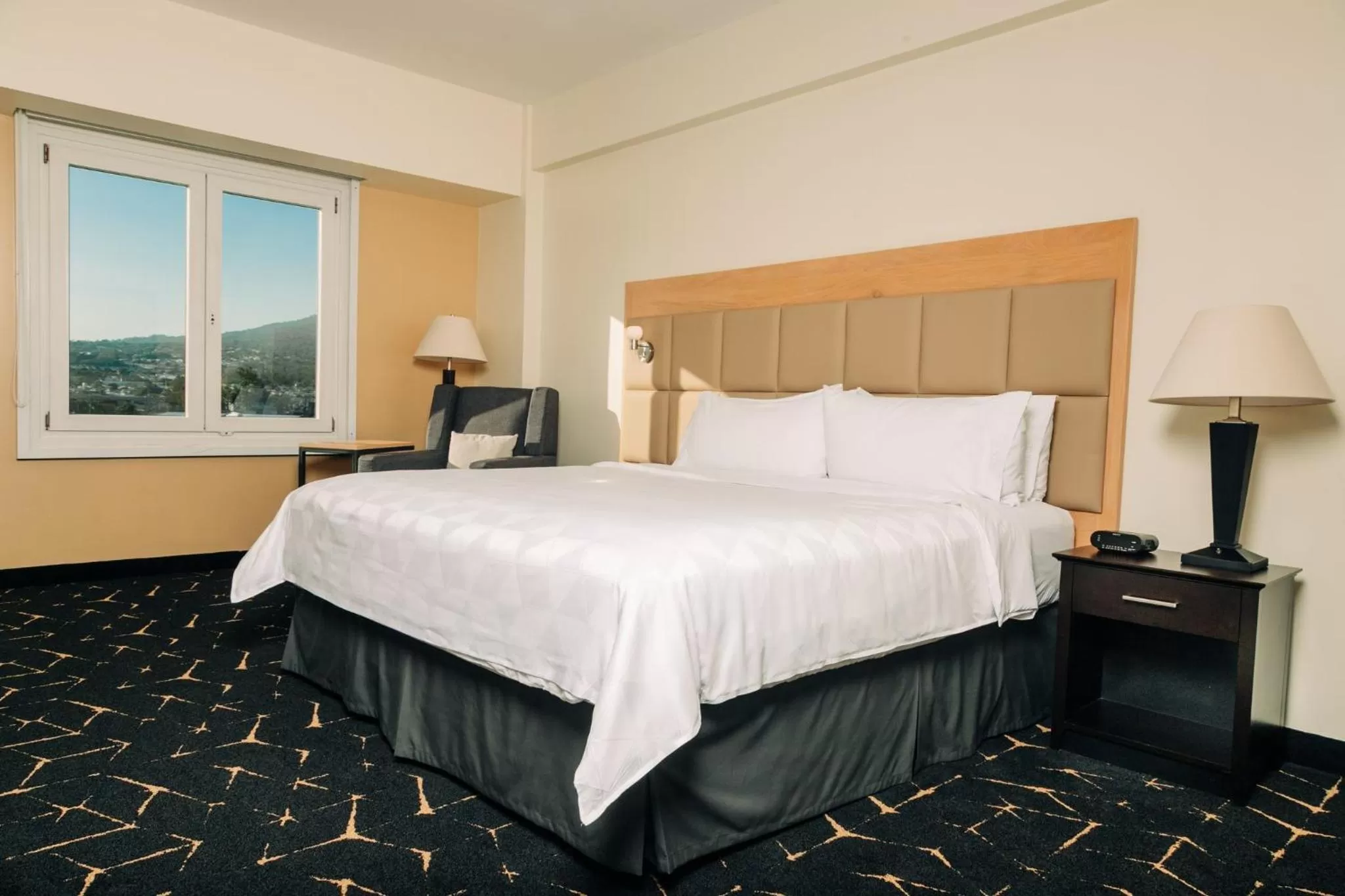 Photo of the whole room, Bed in Holiday Inn San Salvador by IHG