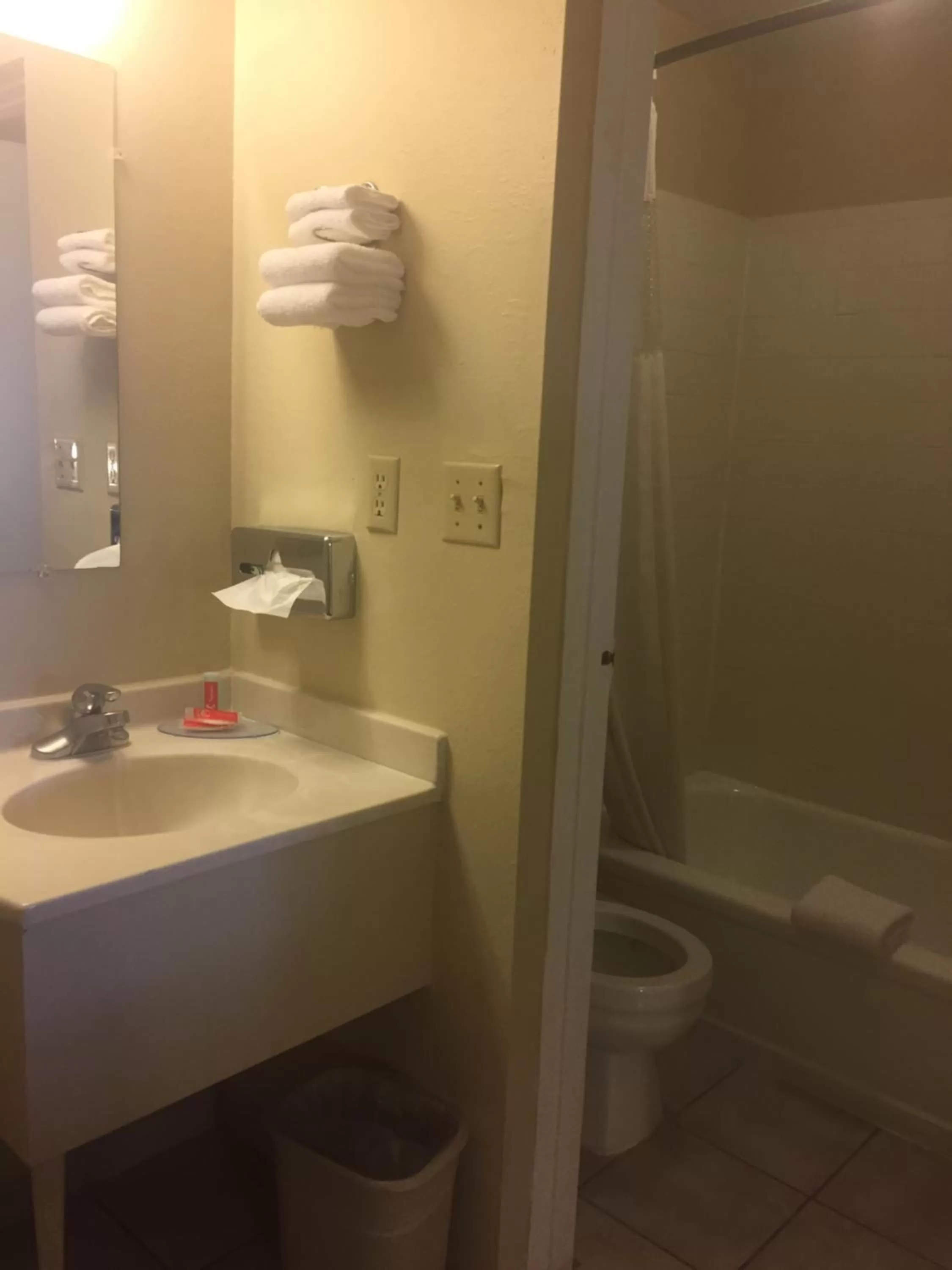 Bathroom in Econo Lodge I-40 Exit 286-Holbrook Holbrook