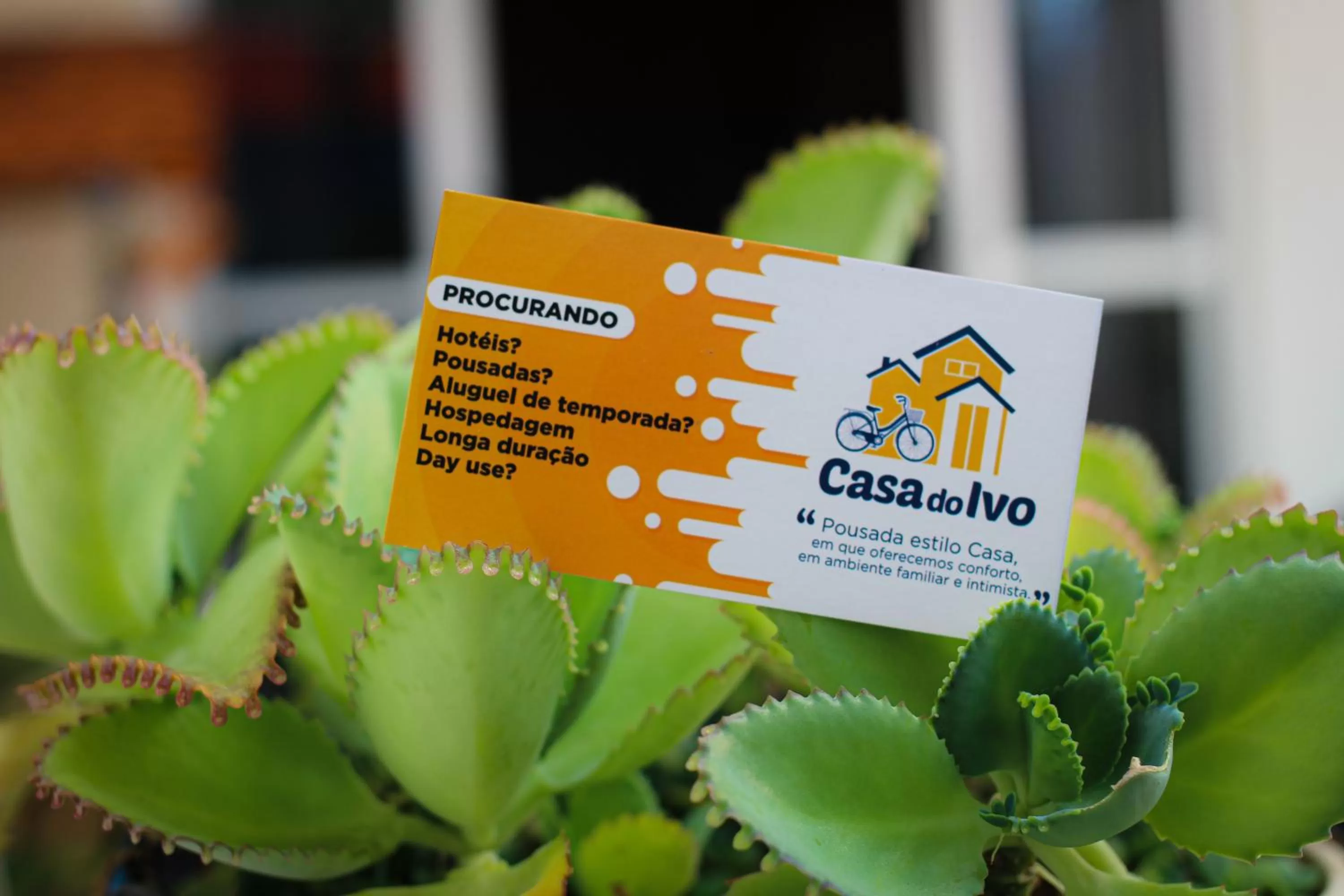 Logo/Certificate/Sign in Pousada Casa do Ivo Santarém