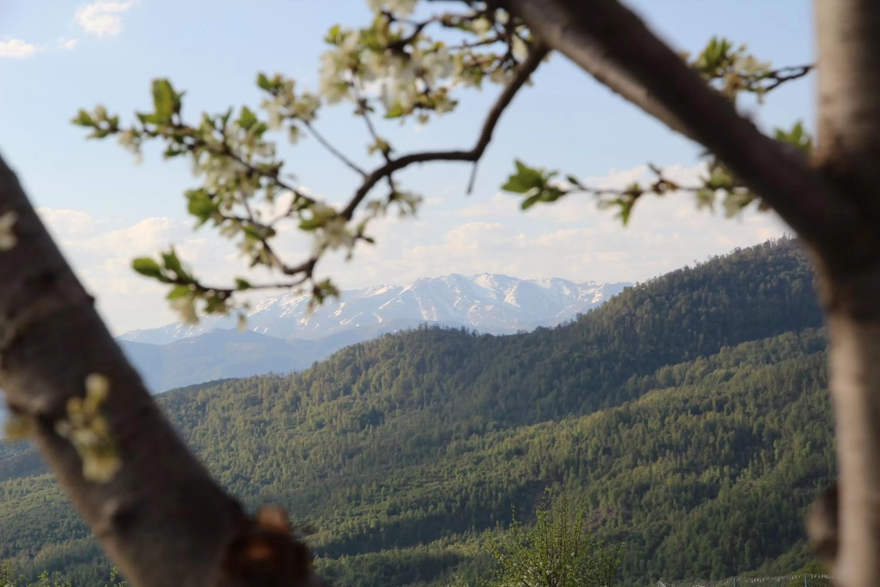 View (from property/room), Mountain View in Apaga Resort