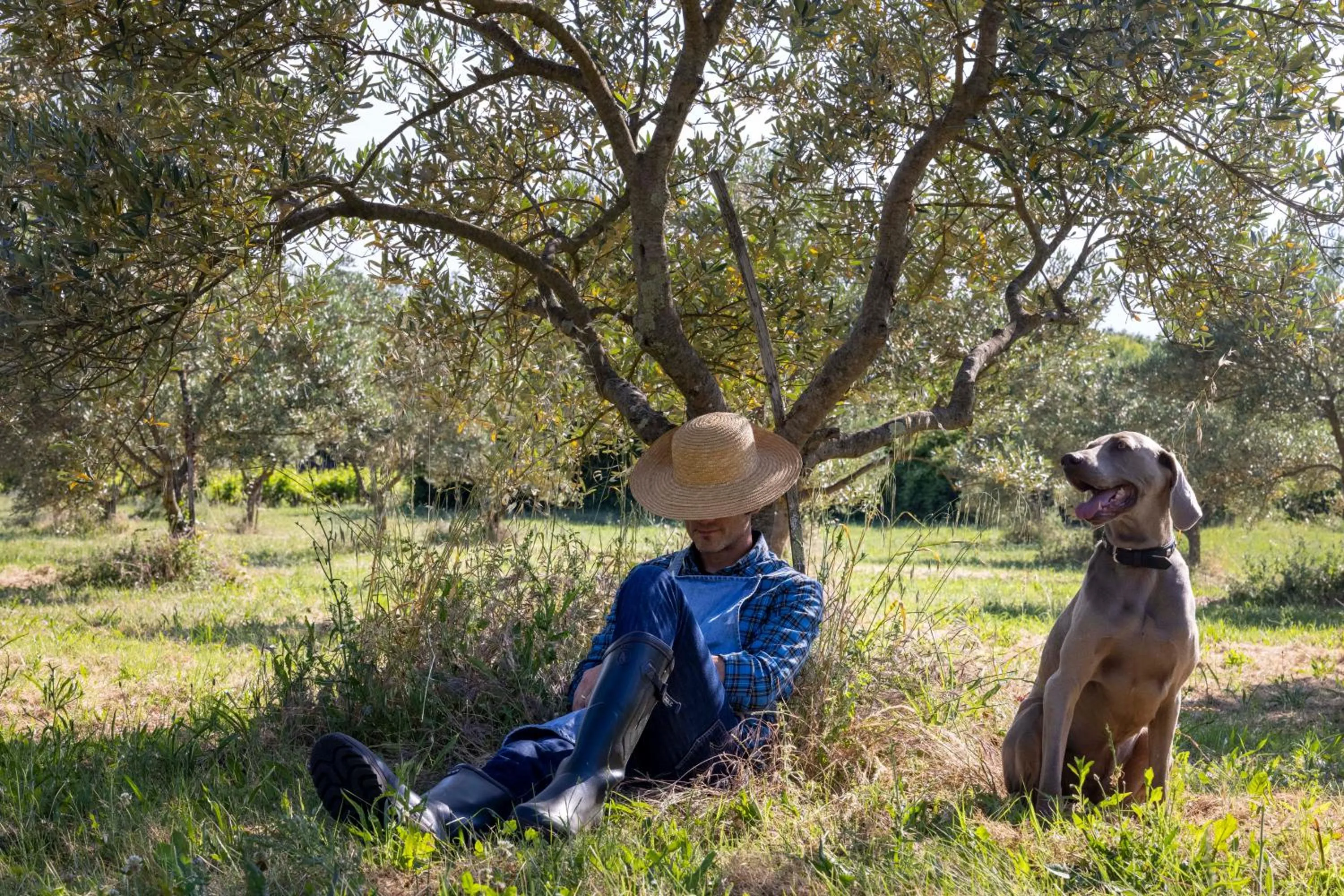View (from property/room) in Le Mas du Terme