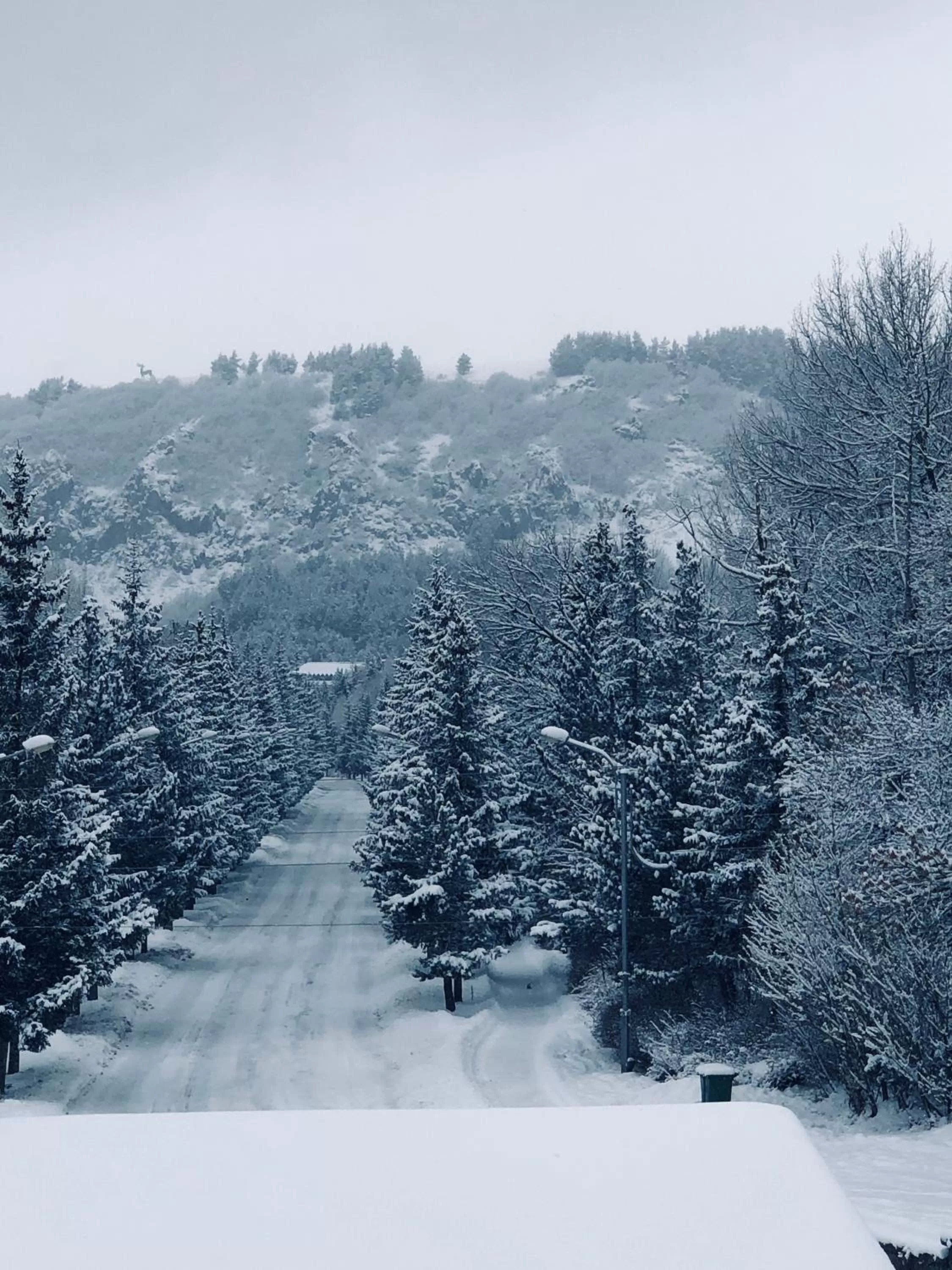 Winter in Jermuk Ani Hotel