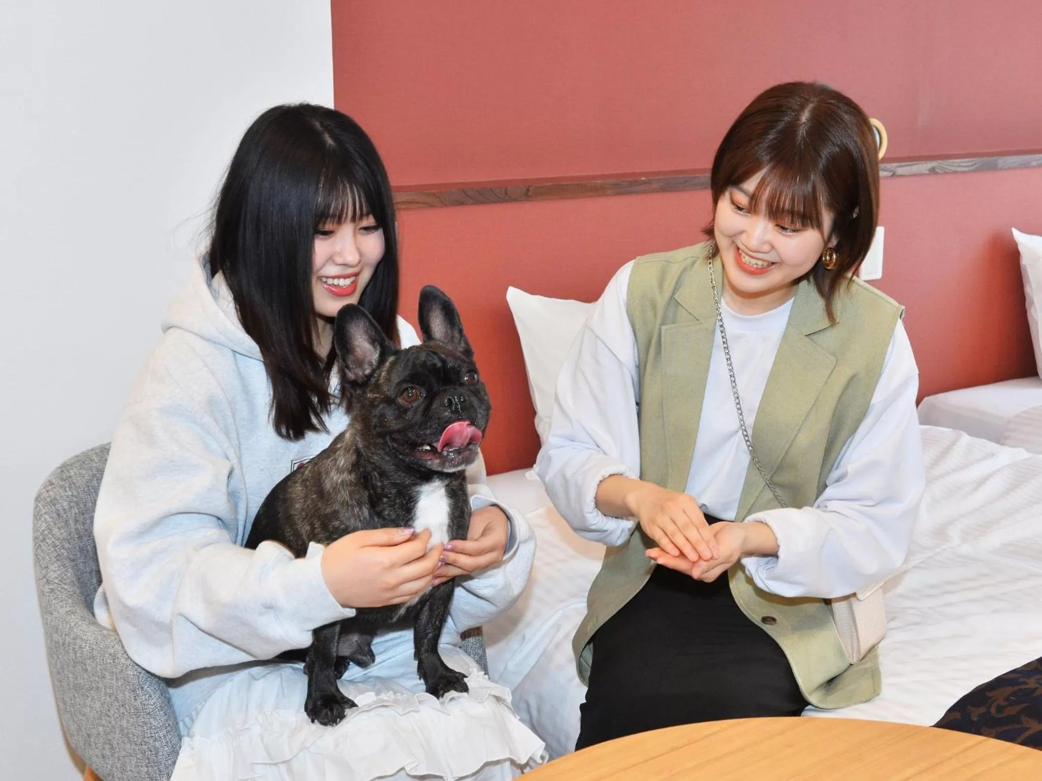 Animals in LC Goryokaku Hotel