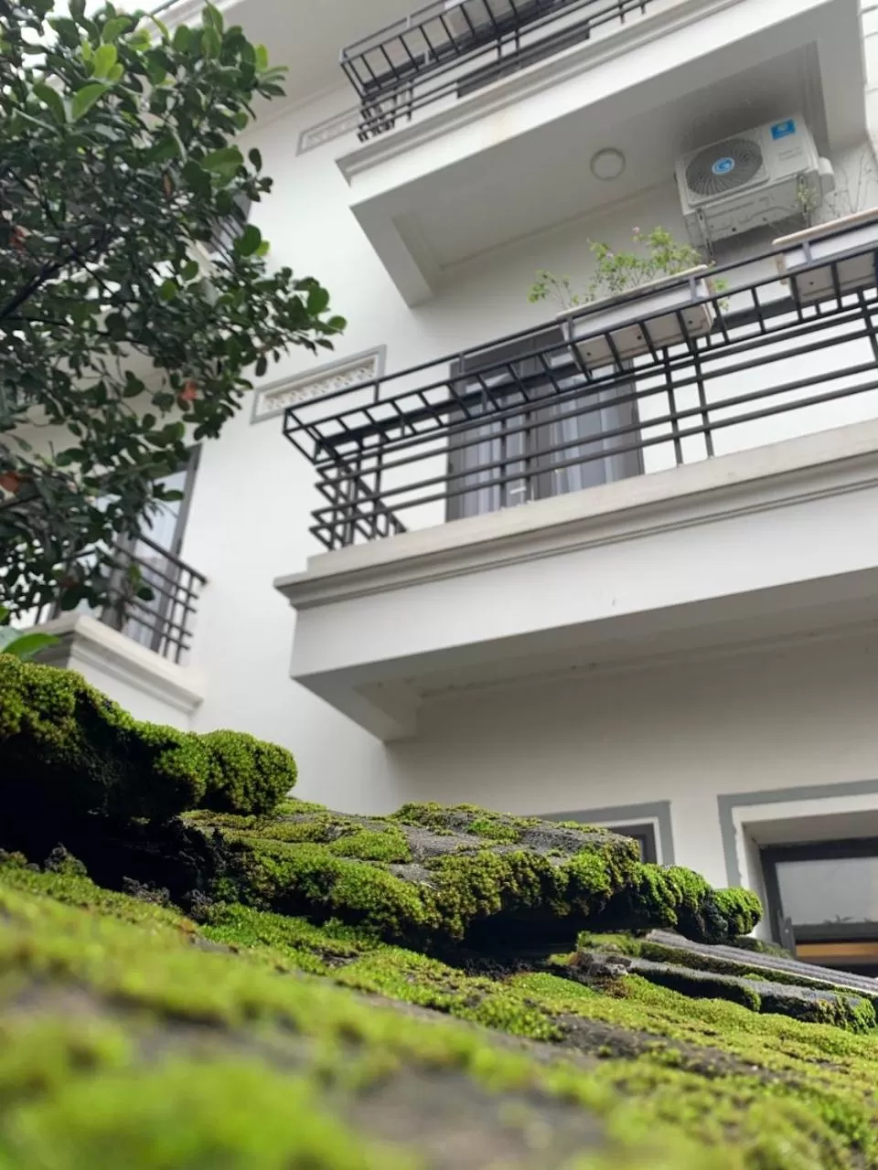 Balcony/Terrace in Tamcoc Catalina Hotel