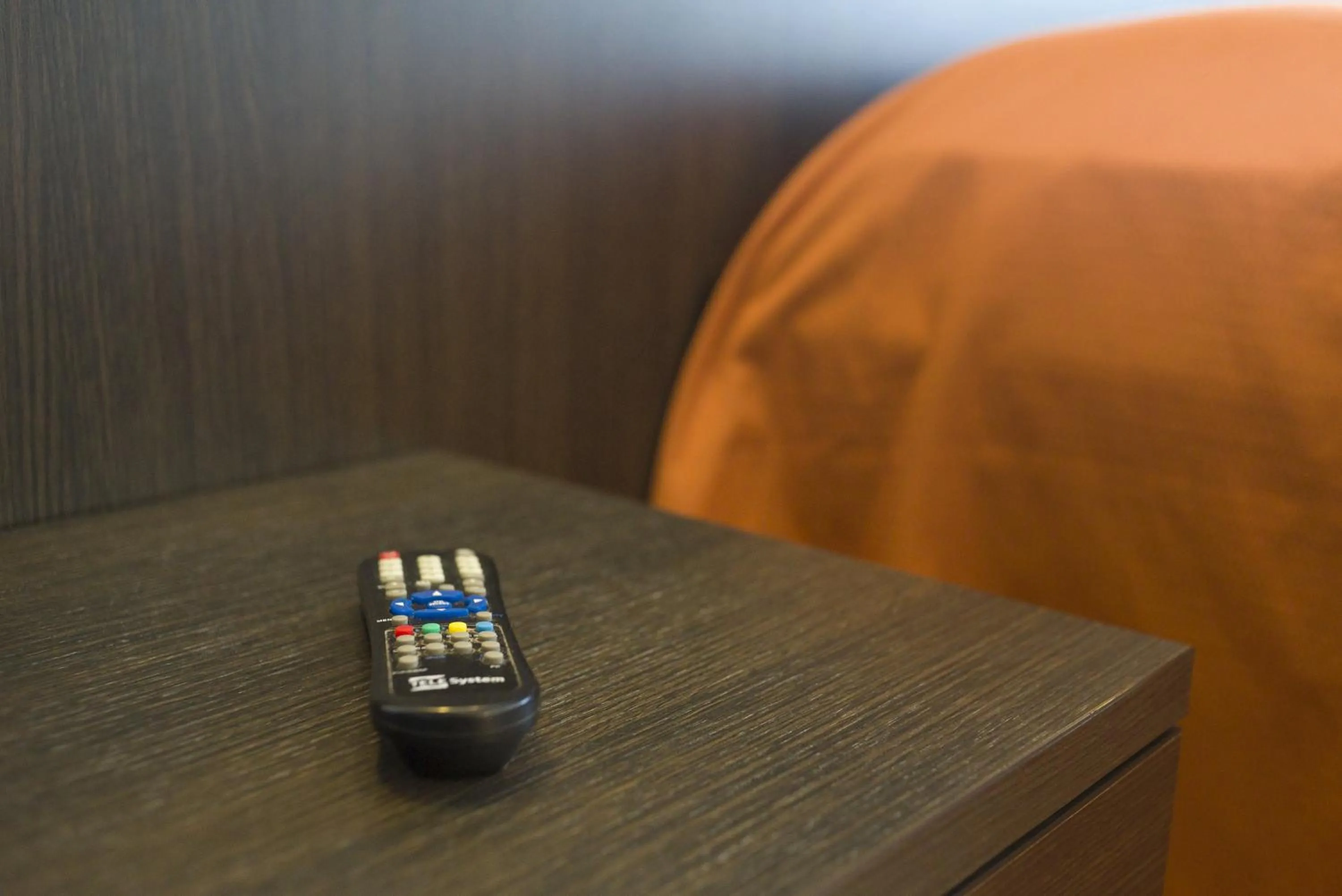 Photo of the whole room in Hotel Sharing