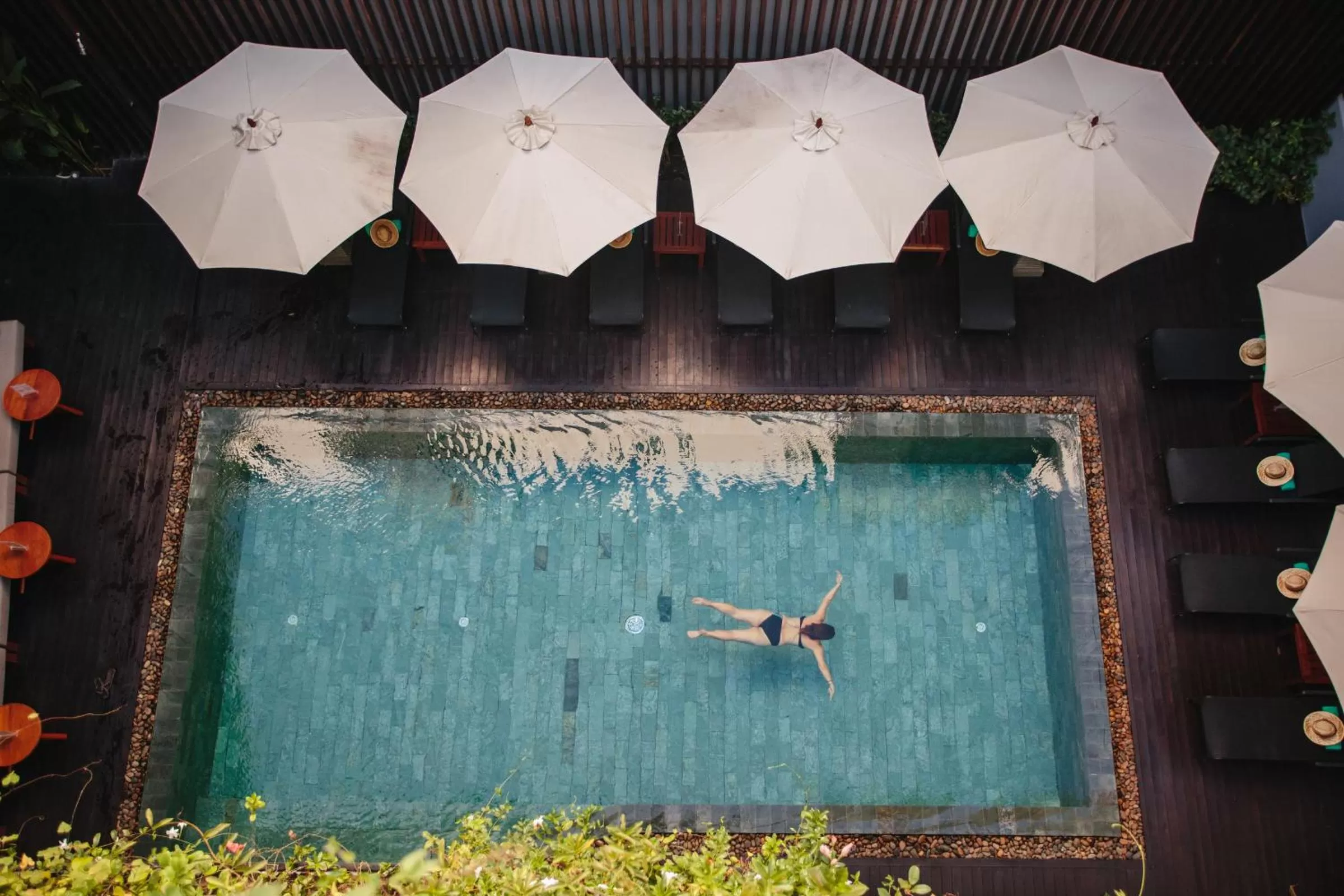 Swimming pool in The Aviary Hotel