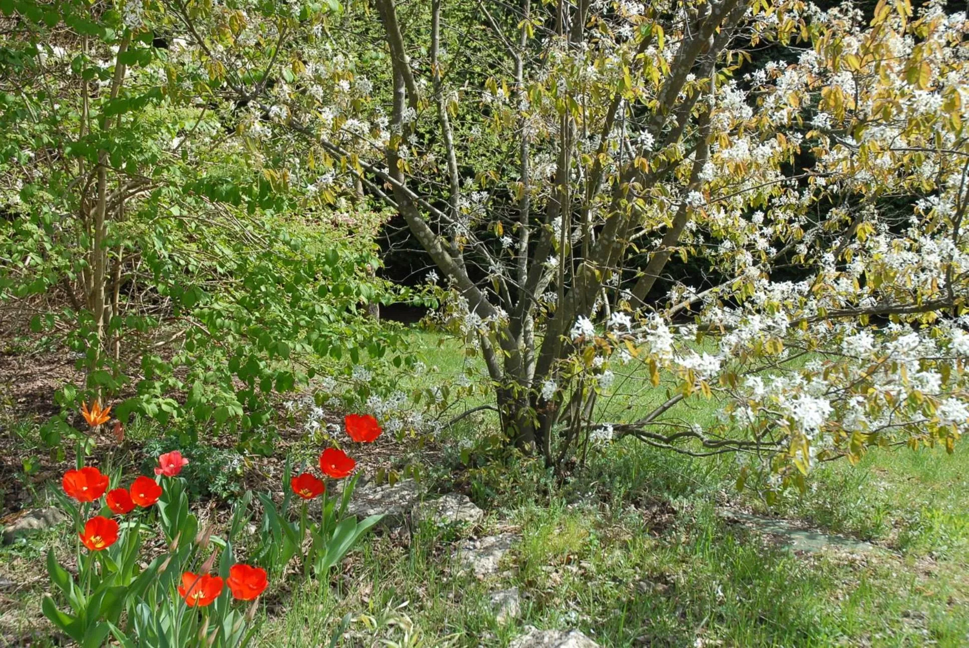 Garden in Villa Thalassa domaineleshesperides