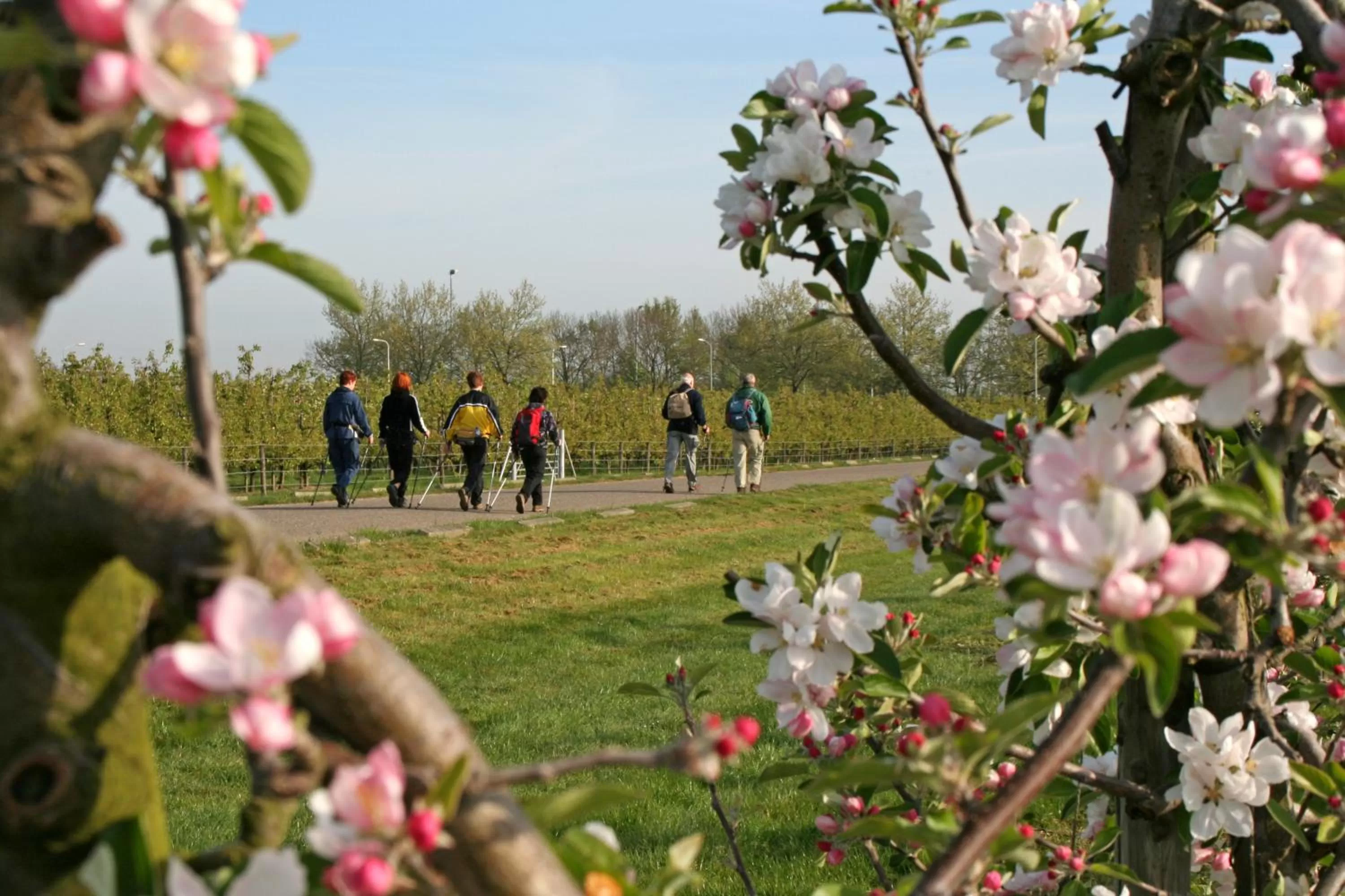 Activities in lesroses1680