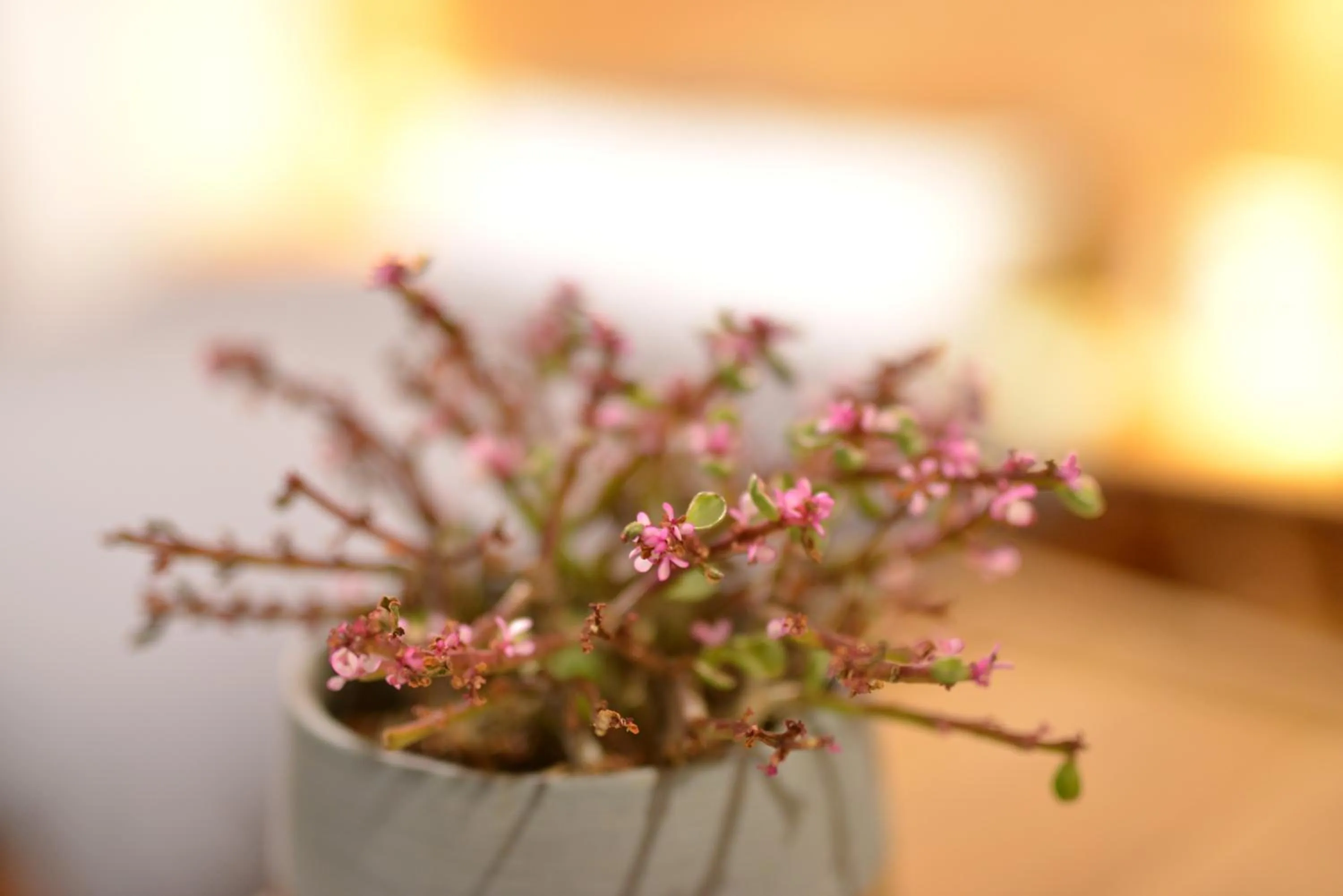 Other in Rock&Wood Cozy House