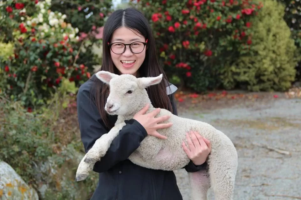 Off site, Guests in Forest Manor