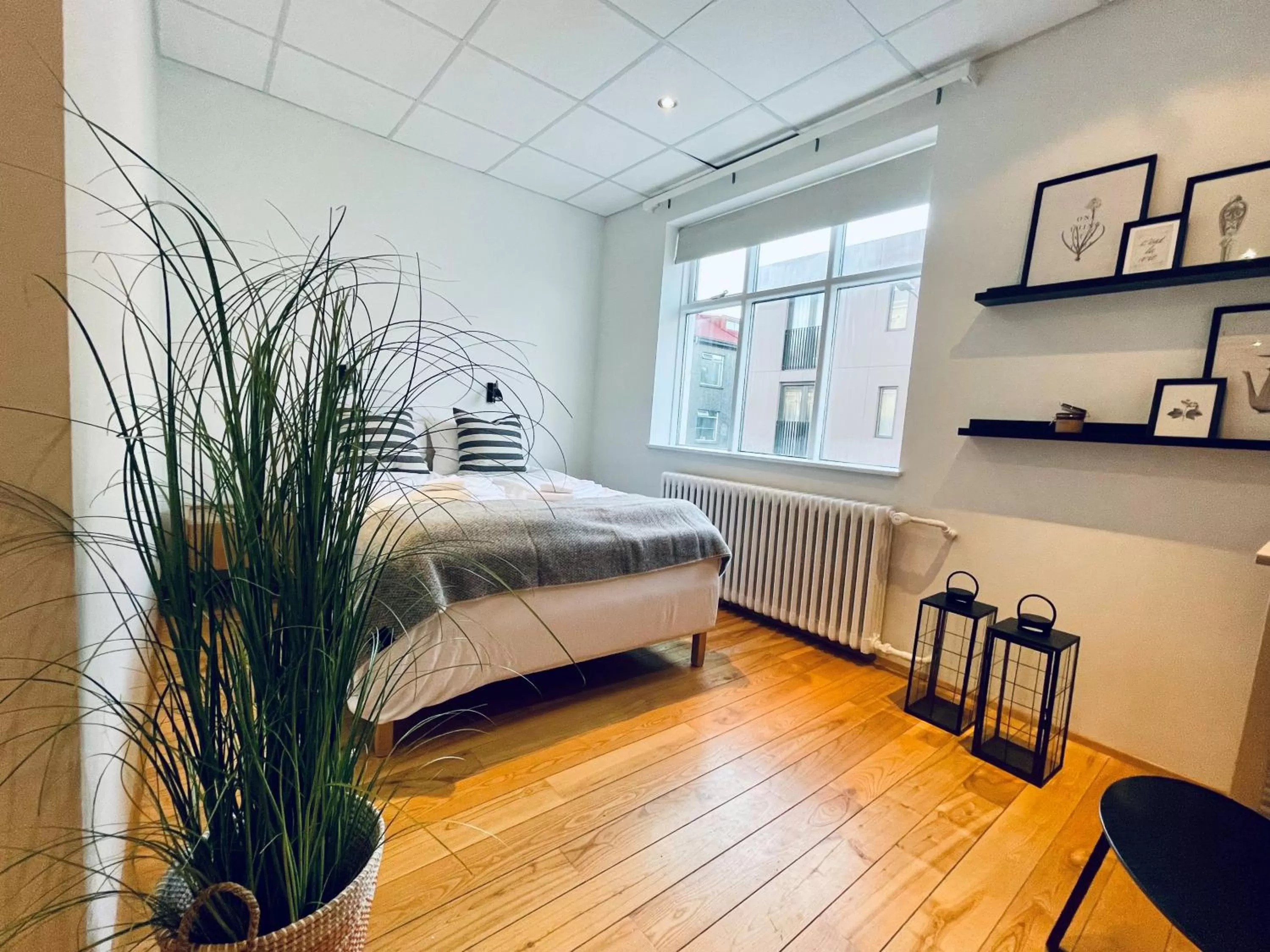 Photo of the whole room, Bed in Day Dream Vesturgata 17 Reykjavik