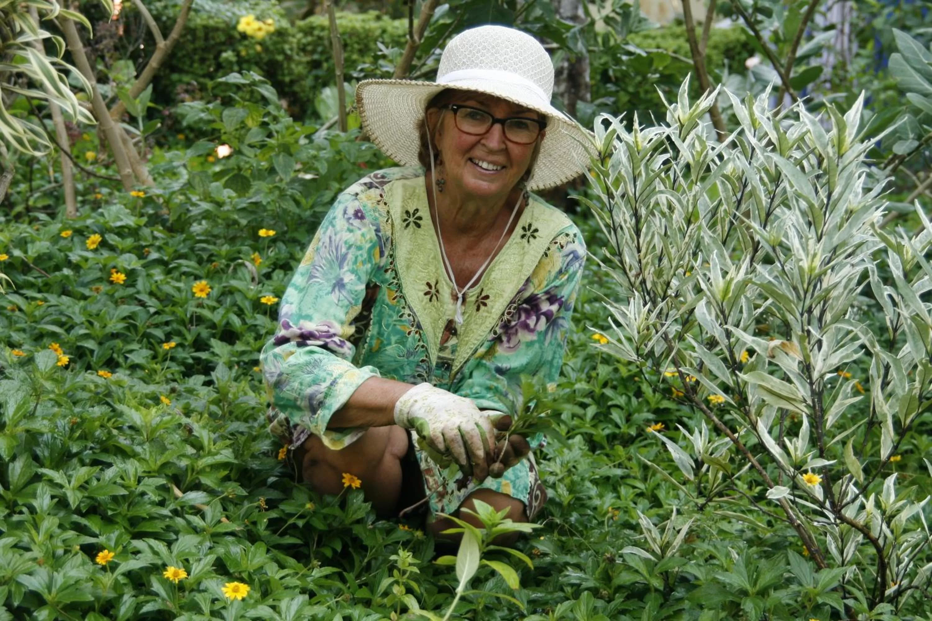 Garden in Anitha's Garden Stay