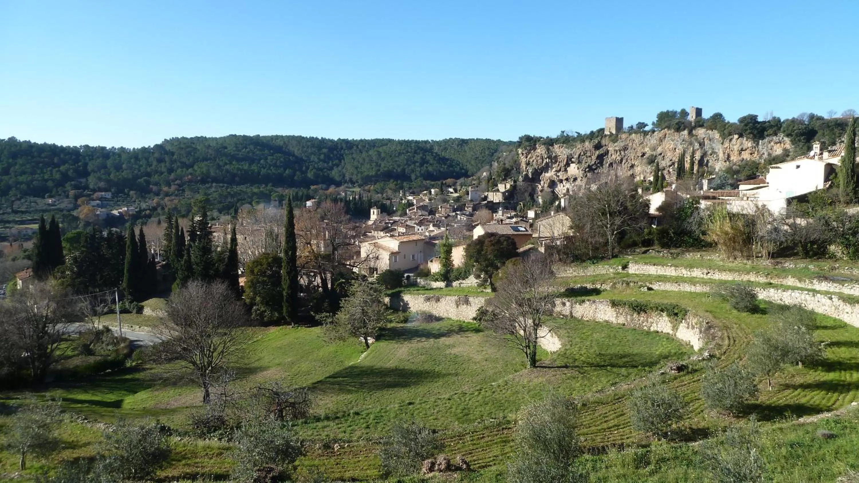 Natural landscape in Mas de l'Olivette
