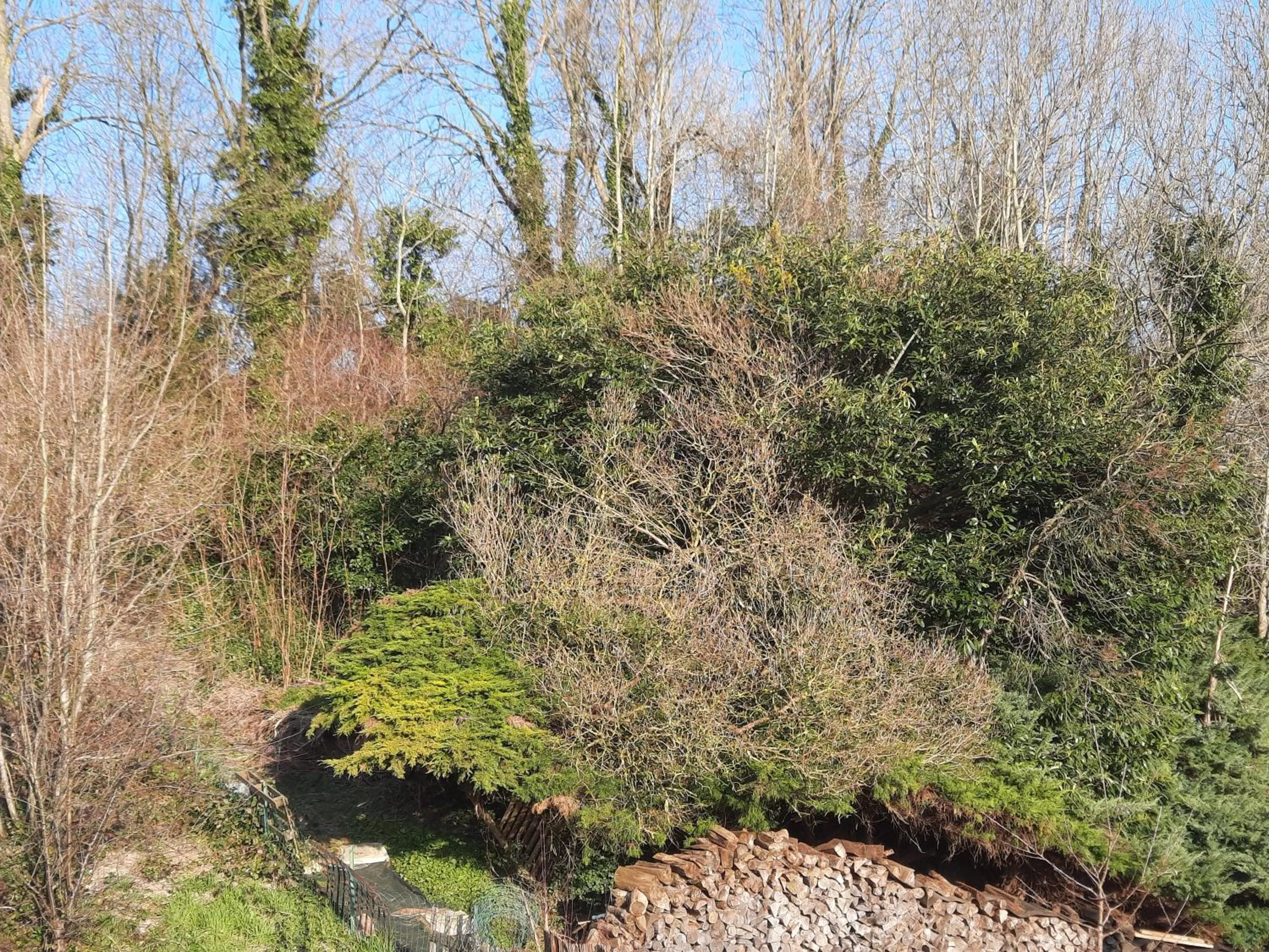 Garden in La Maison De Marie