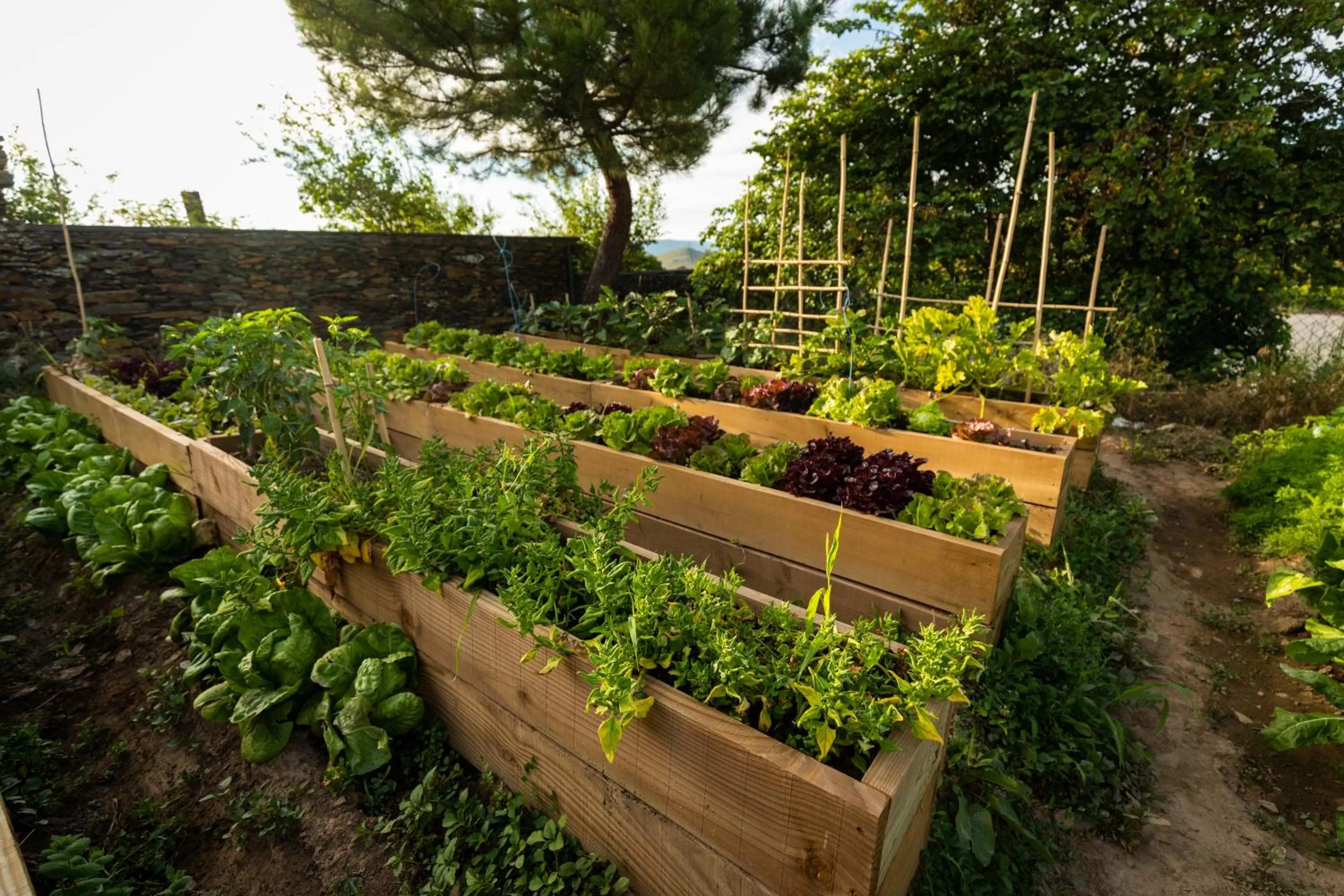 The Rock Suites & Spa