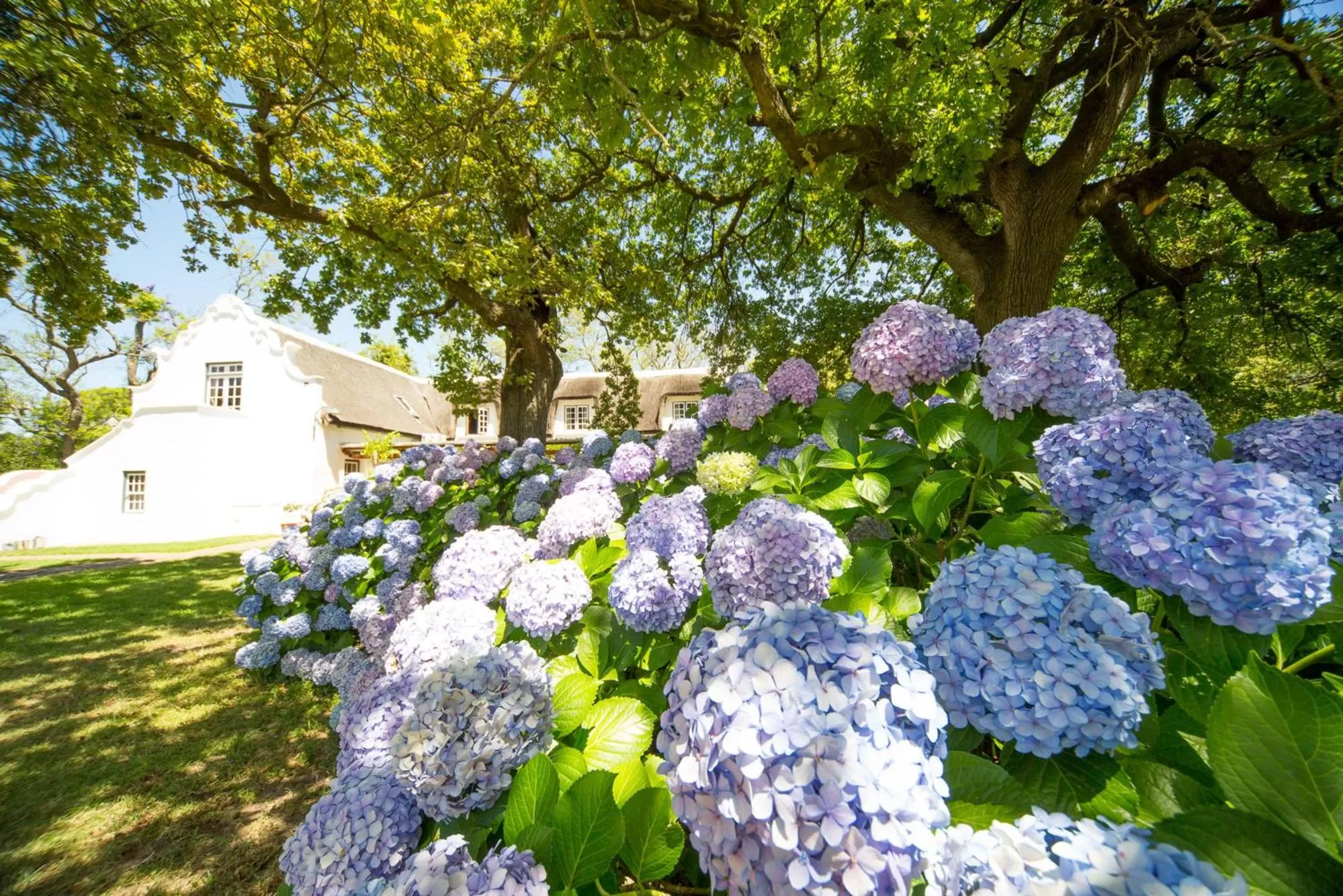 Patio in Adara Palmiet Valley Luxurious Boutique Farm Hotel