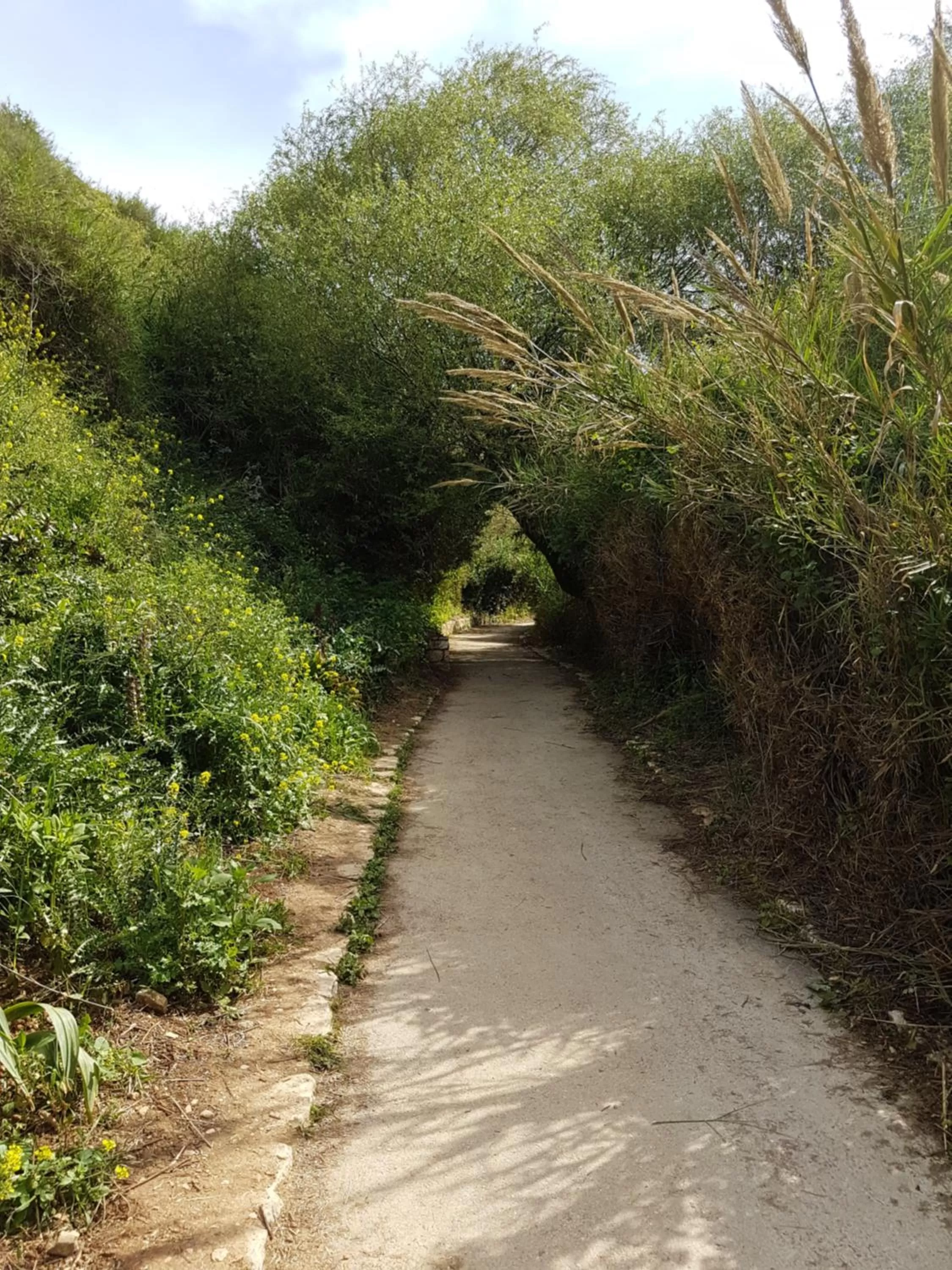 Hiking in Lishansky Since 1936