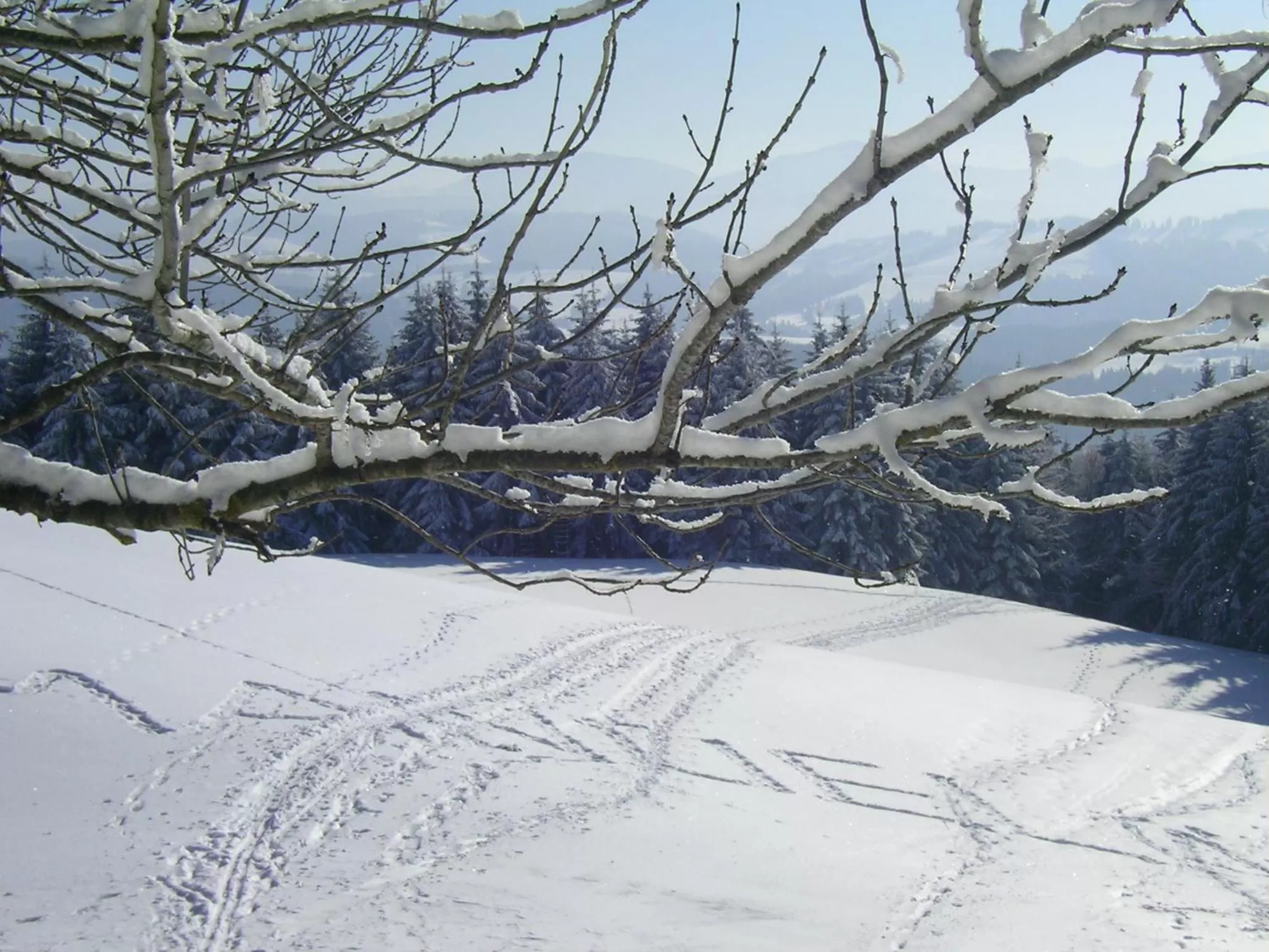 Off site in Das Allgäu