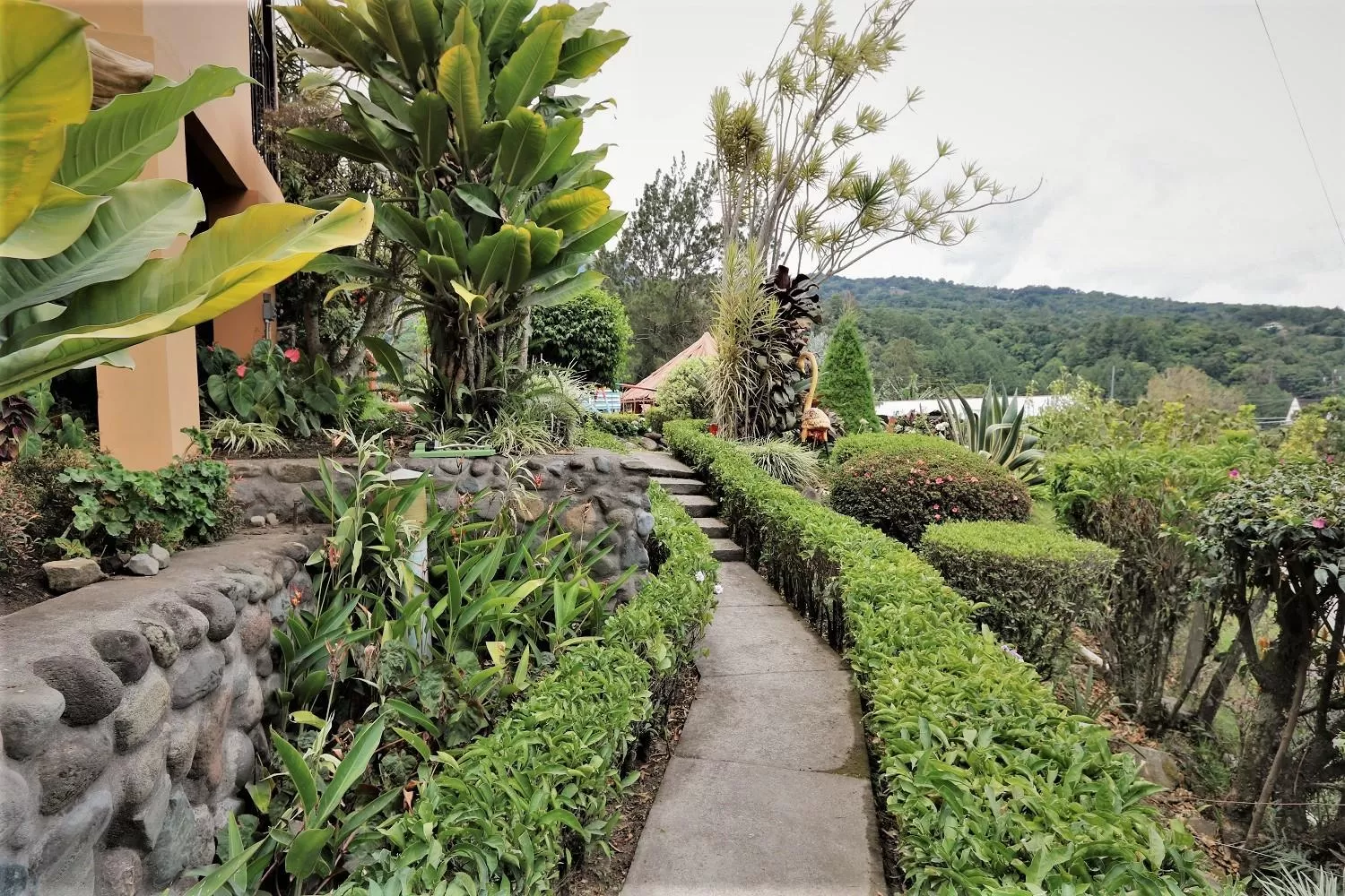 Natural landscape in Aparthotel Los Pinos