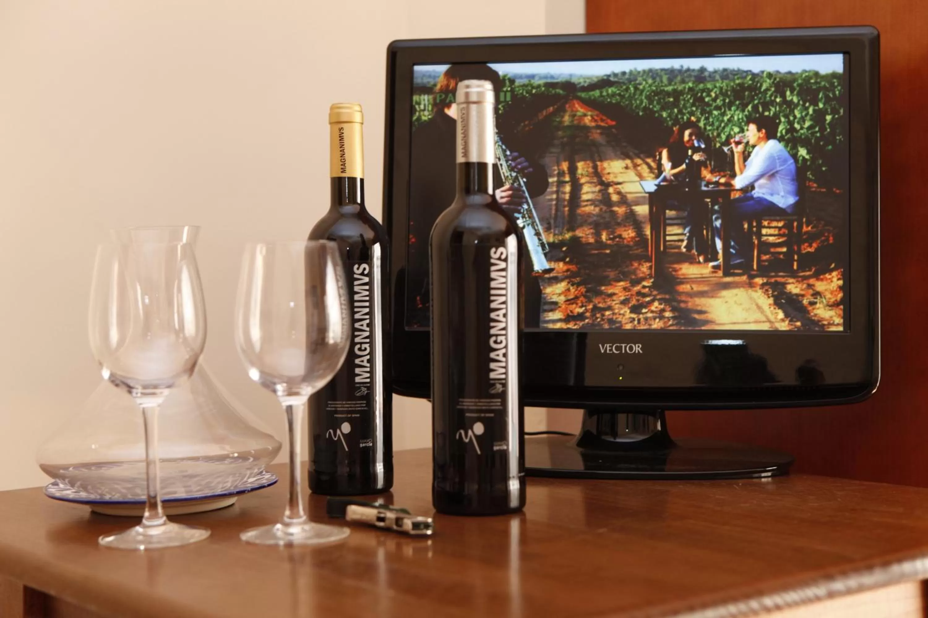 Decorative detail in Casa Rural Magnanimvs