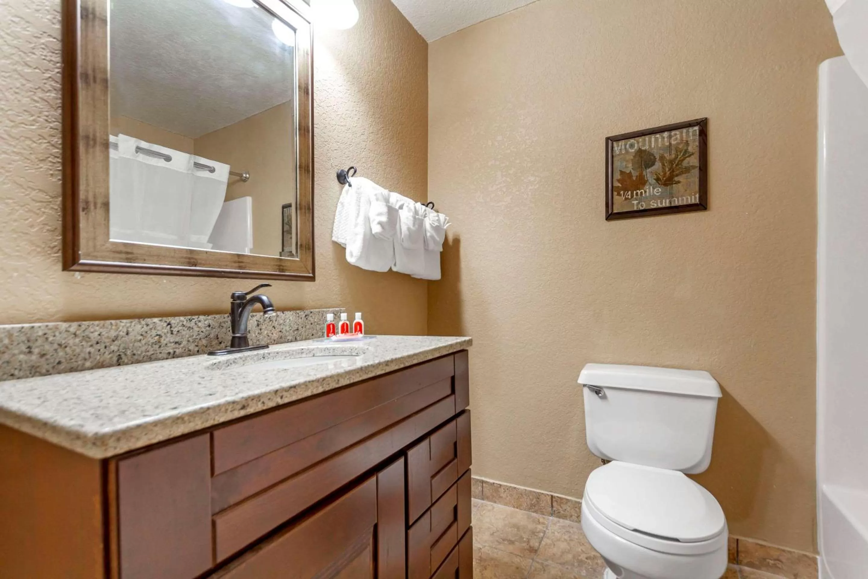 Bathroom in Econo Lodge Black Hills