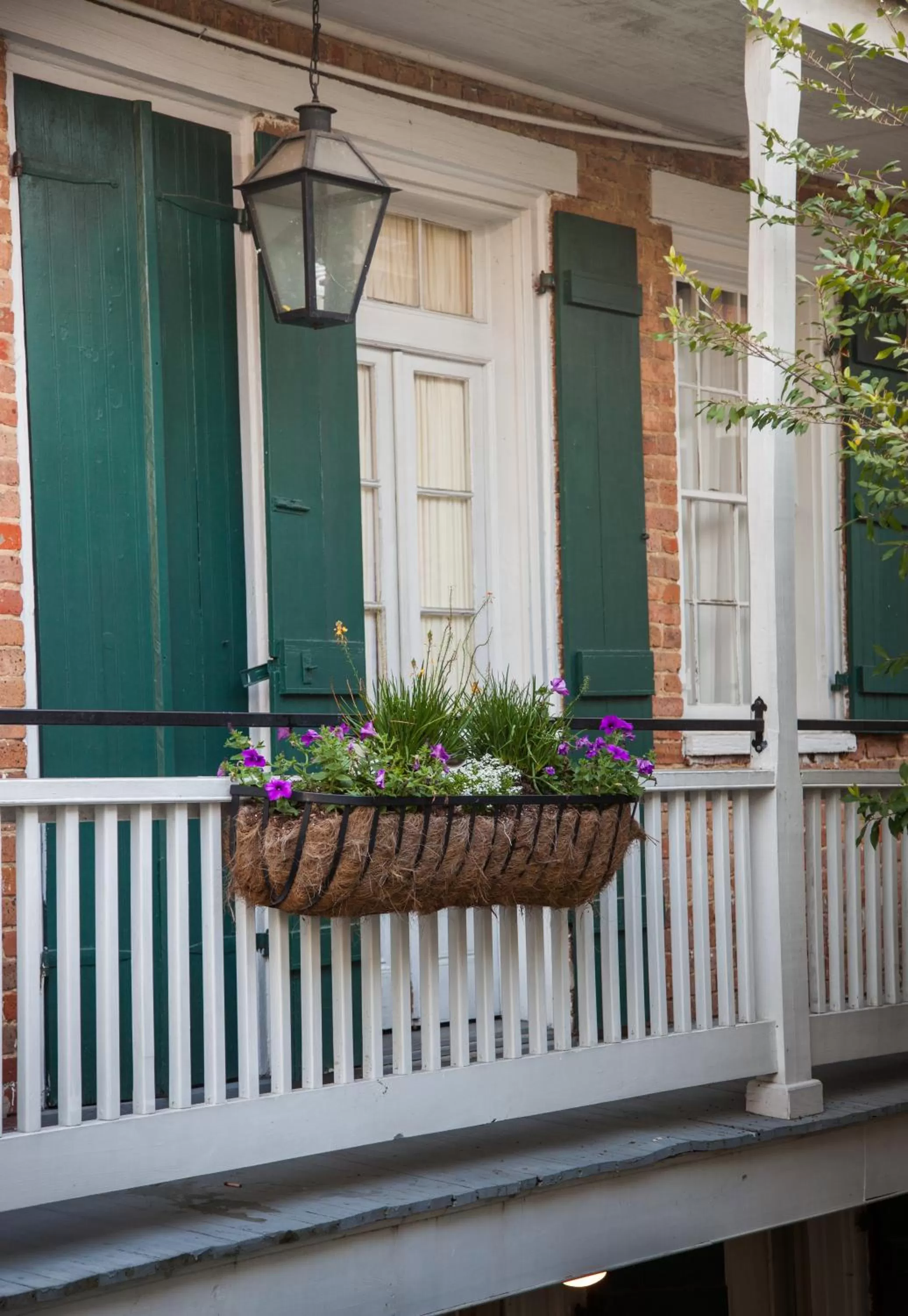Balcony/Terrace in Hotel St. Pierre French Quarter