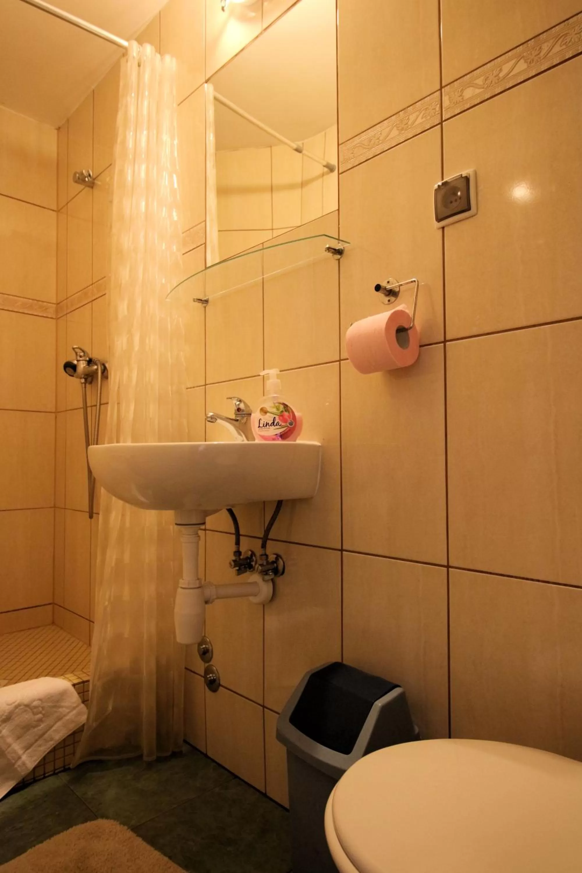 Bathroom in Willa Grzesiczek