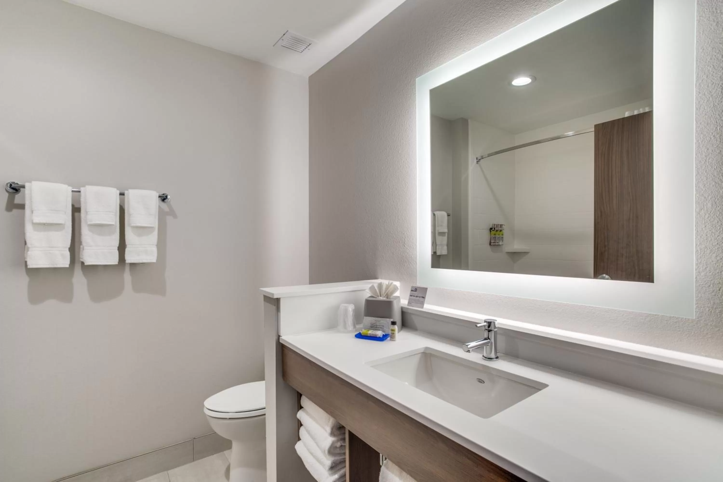 Bathroom in Holiday Inn Express & Suites - Denton South by IHG