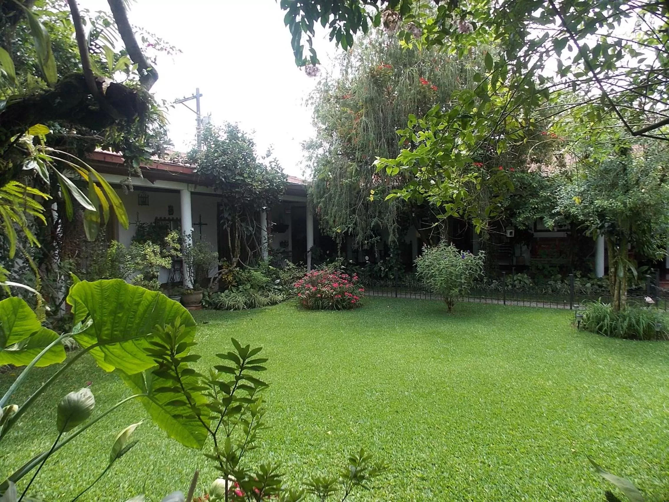 Garden in Hotel Casa Duranta