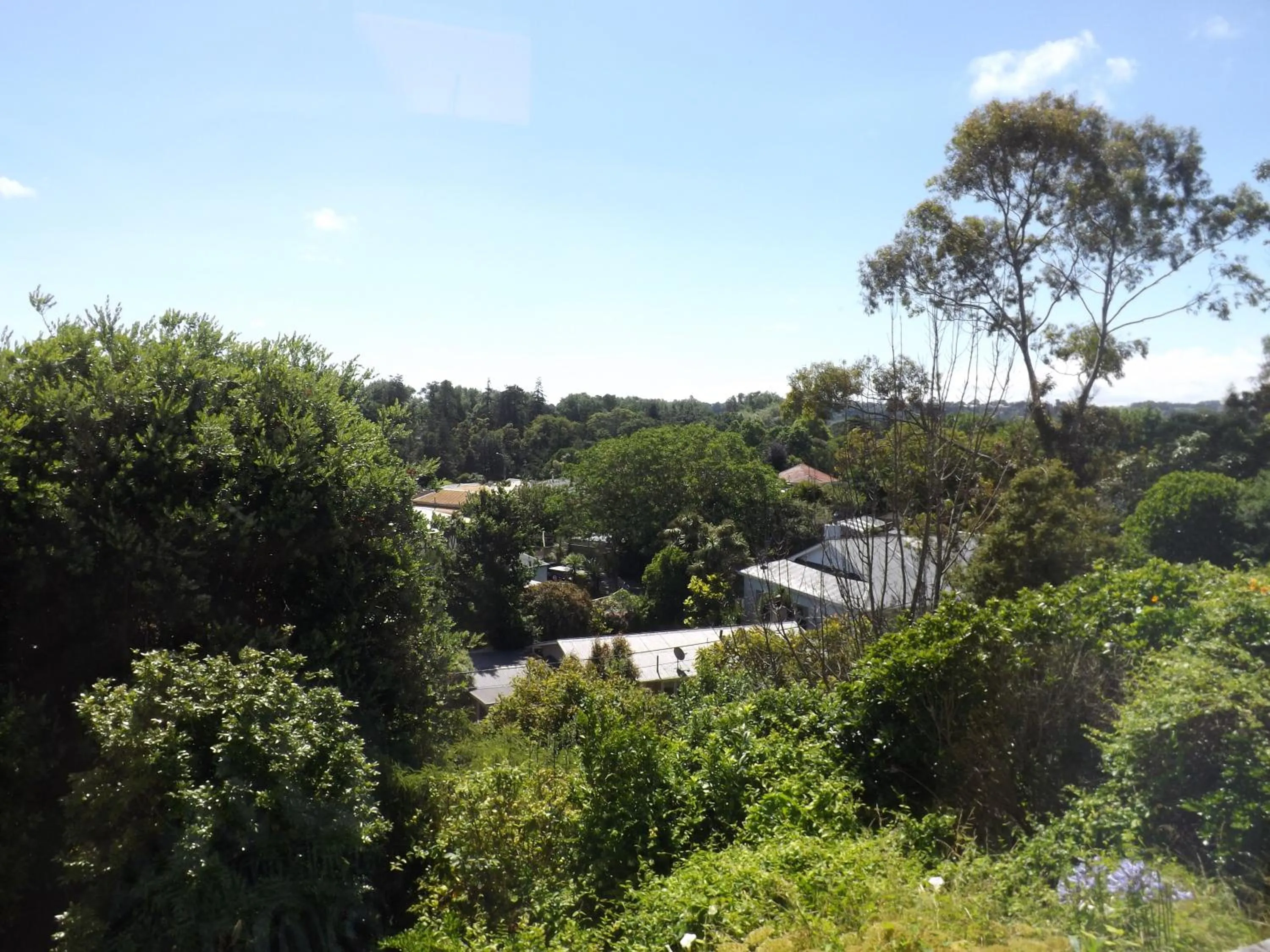 View (from property/room) in Hikurangi StayPlace