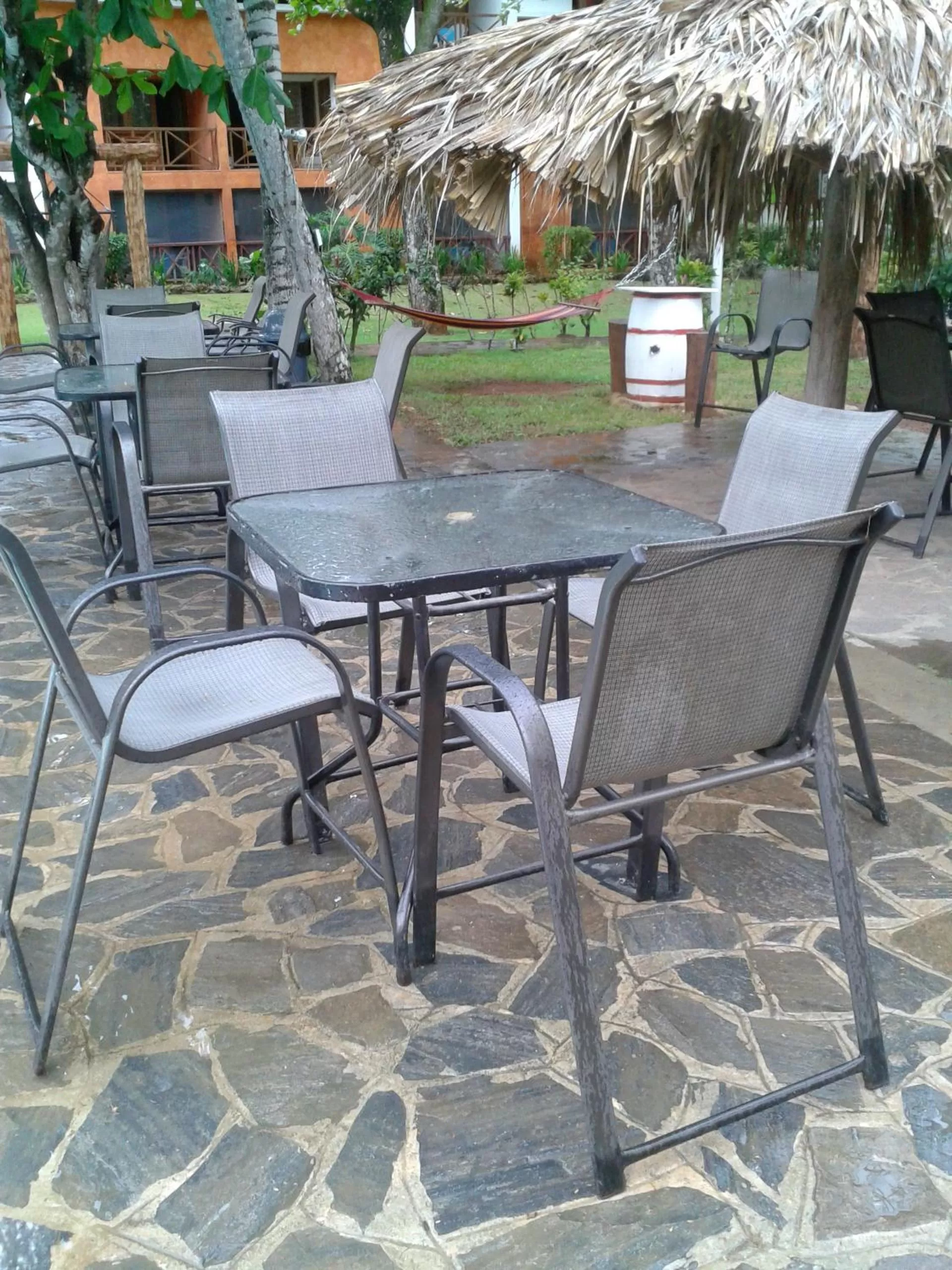 Garden in La Residencia del Paseo