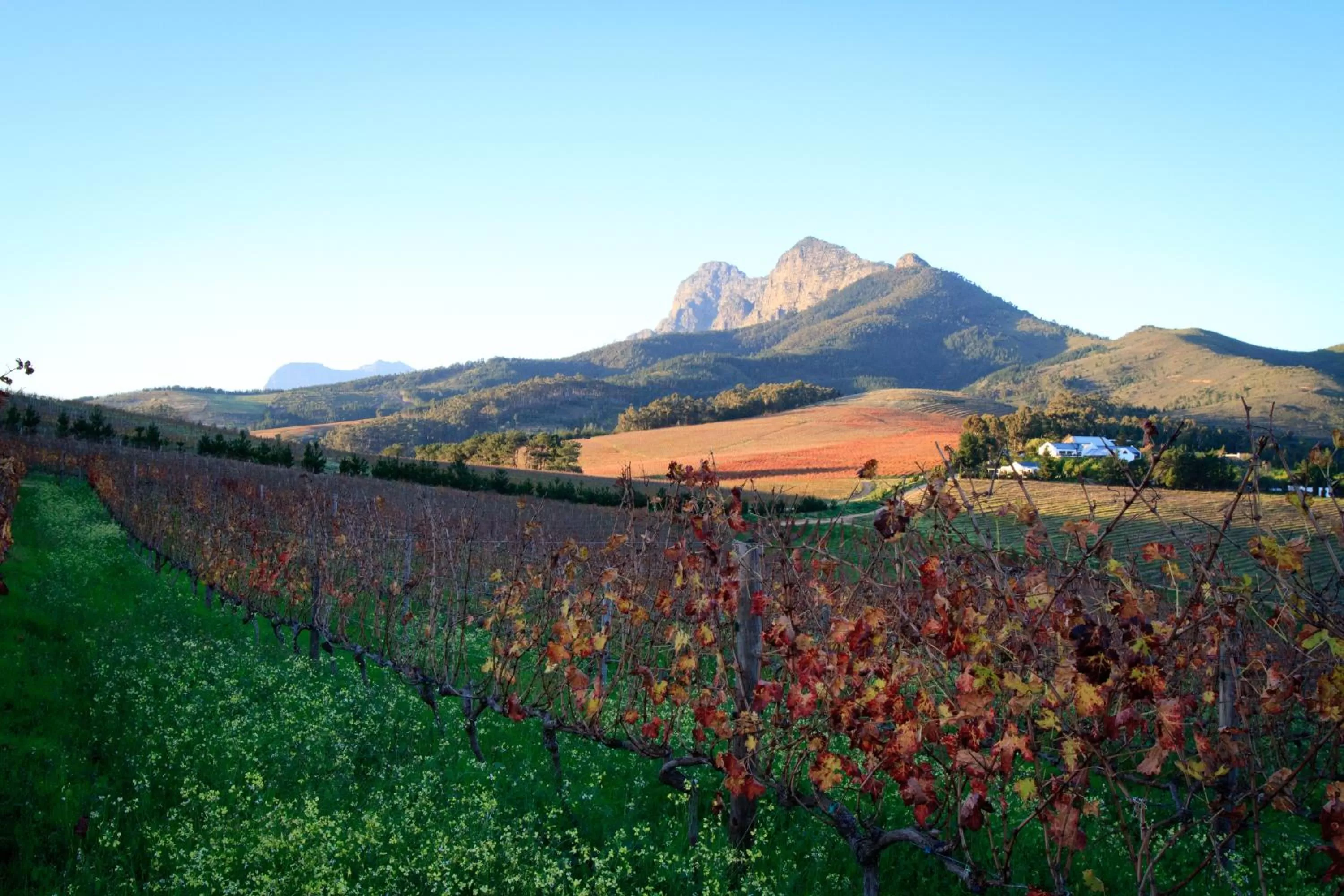 View (from property/room) in Marianne Wine Estate
