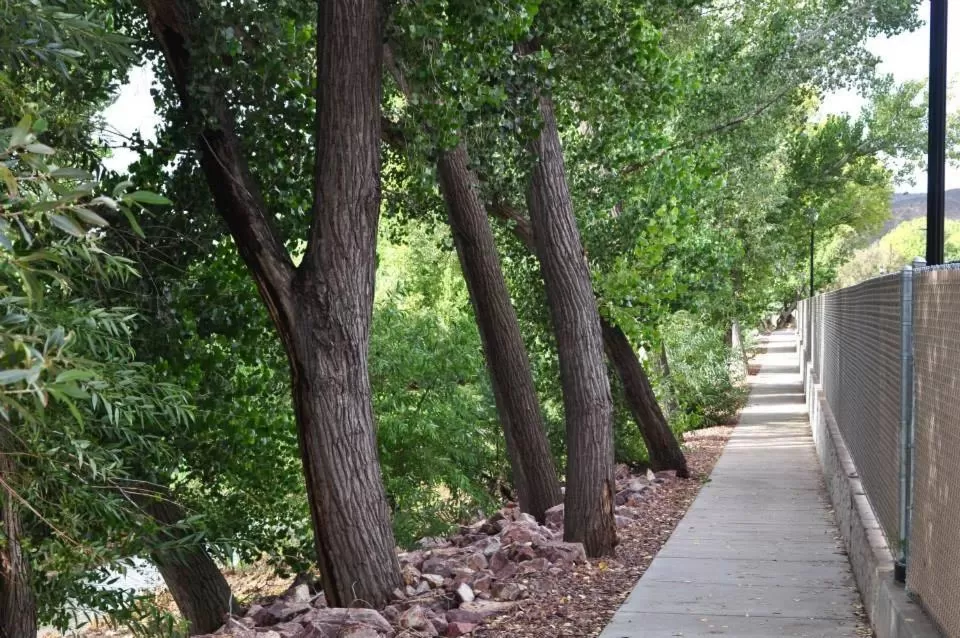 Street view in Shady Motel