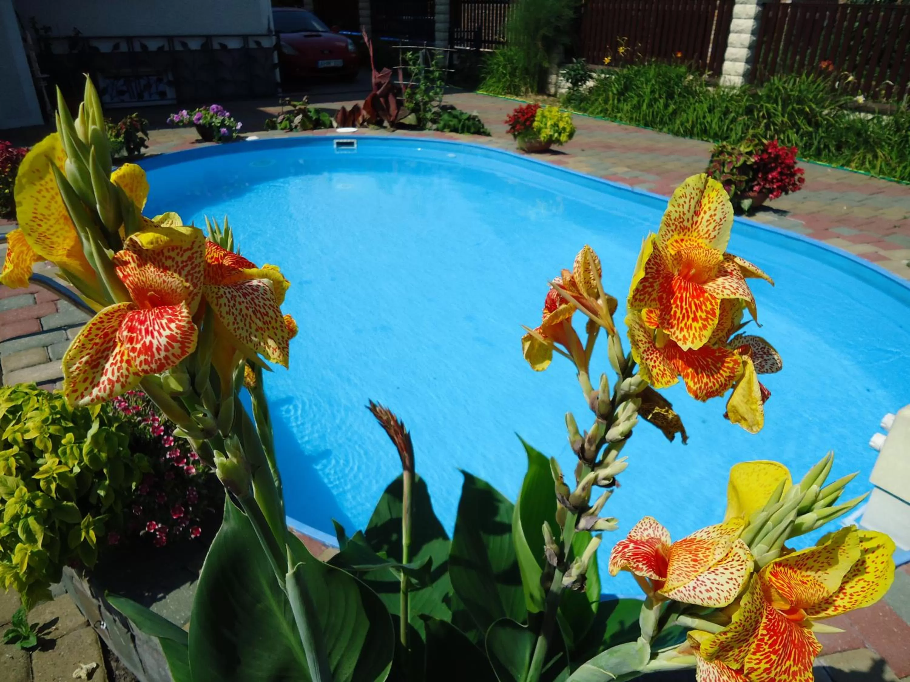 Property building in Guest House Linas